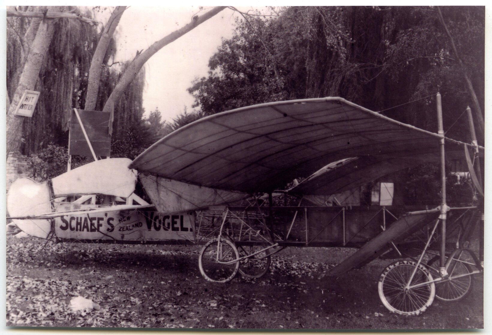 Schaef's Vogel Plane