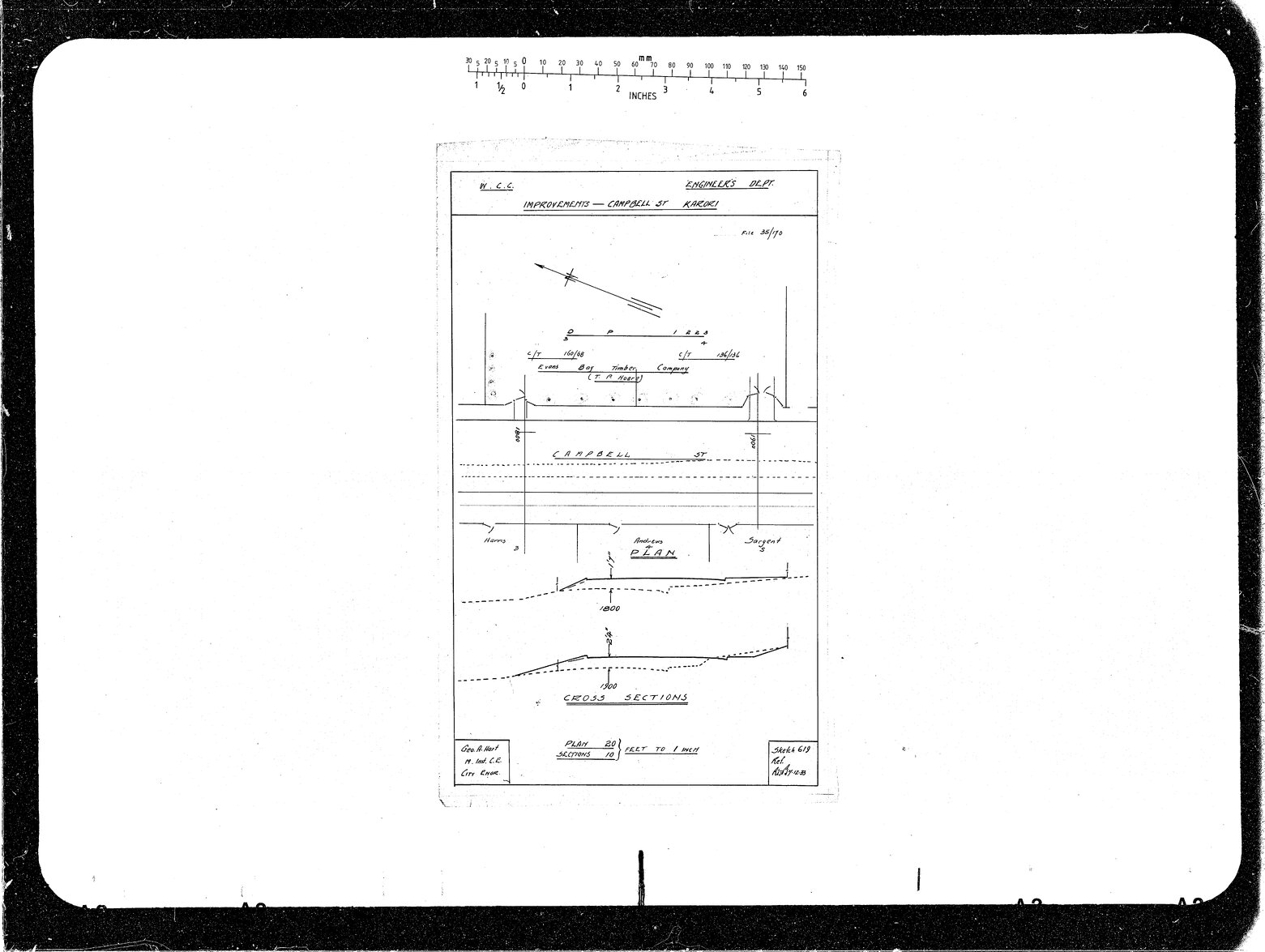 Campbell Street Improvements, Road Level, Evans Bay Timber Company