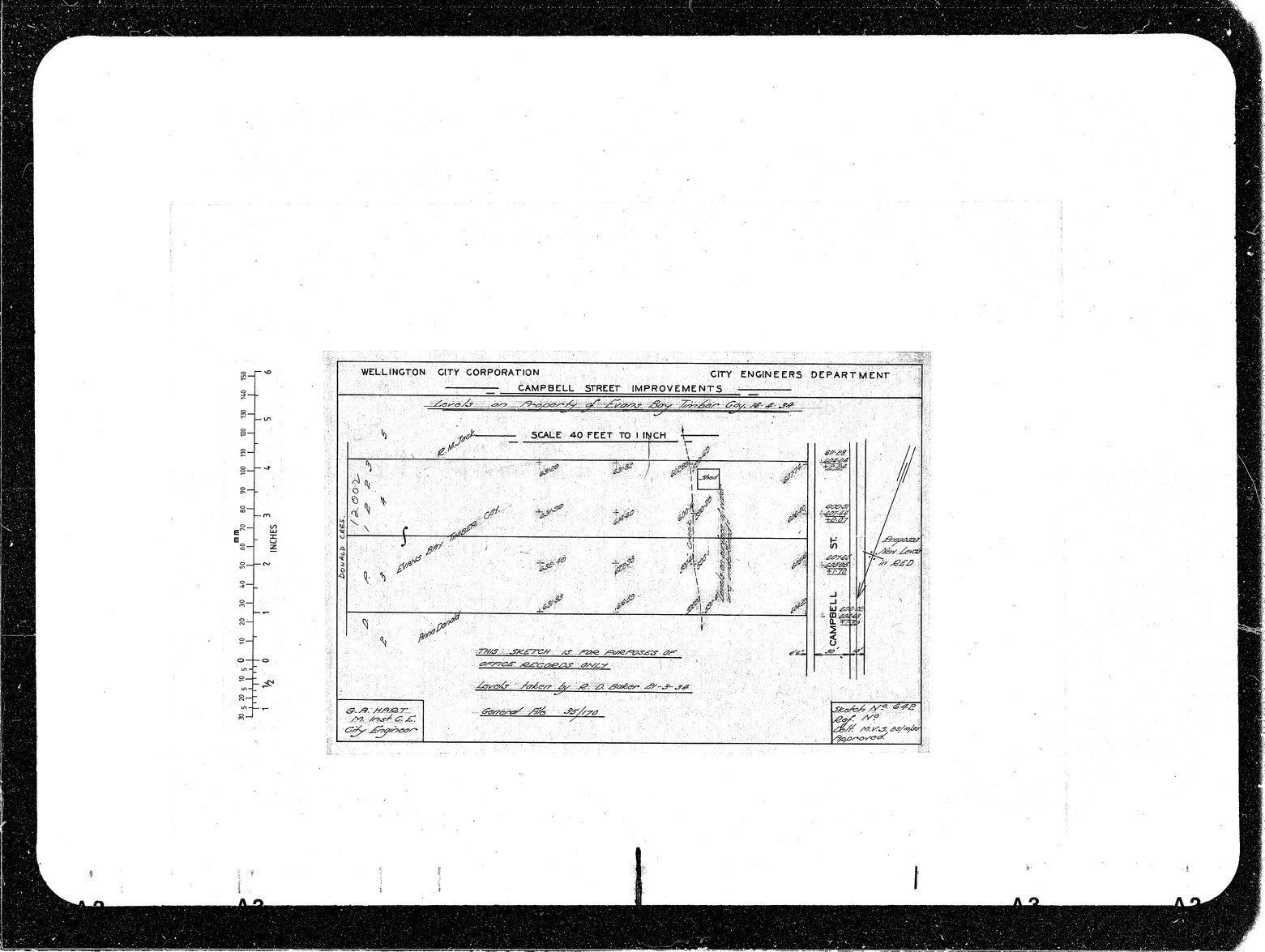 Campbell Street, Evans Bay Timber Company Levels