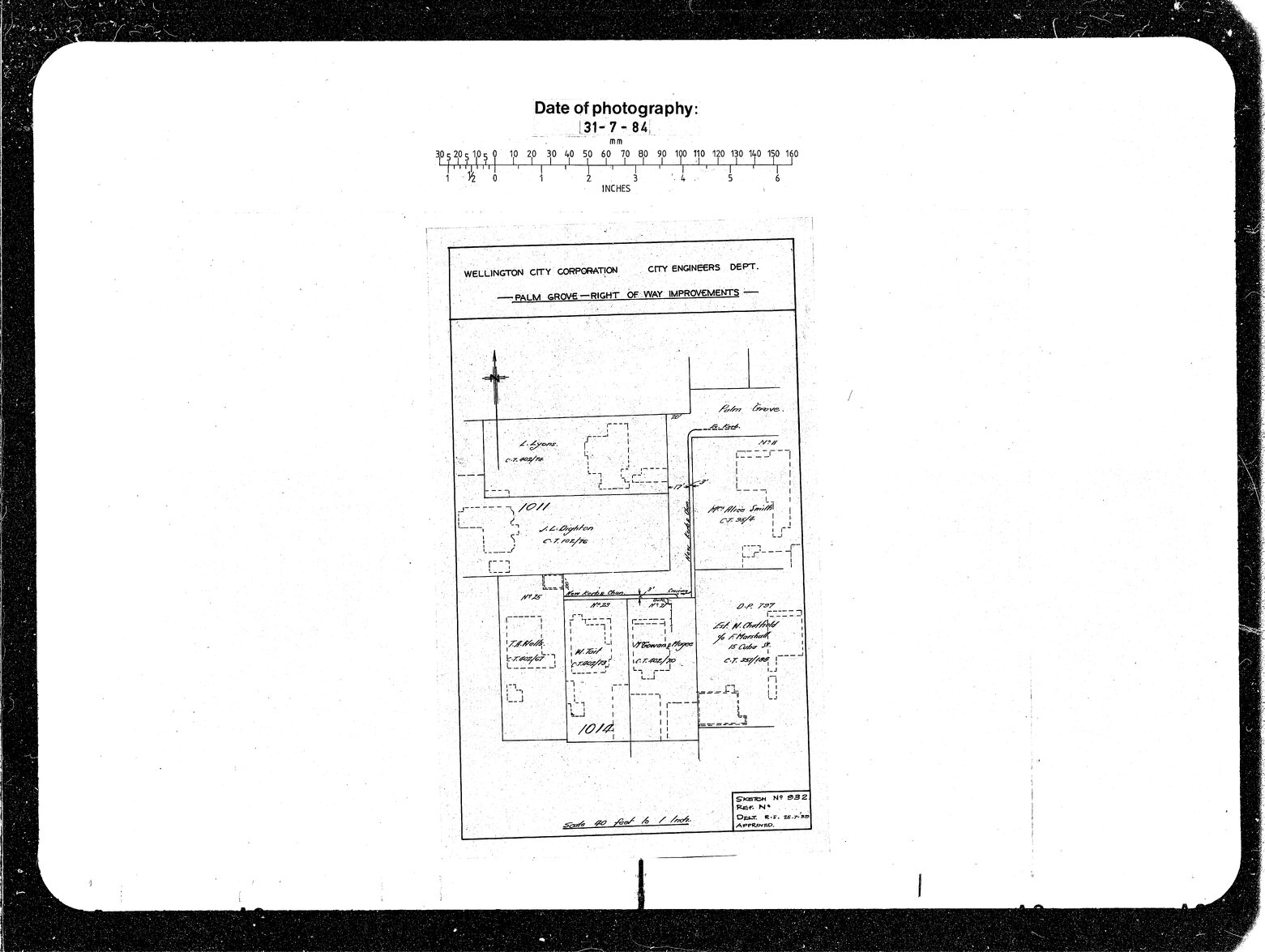 Palm Grove Right of Way Improvements