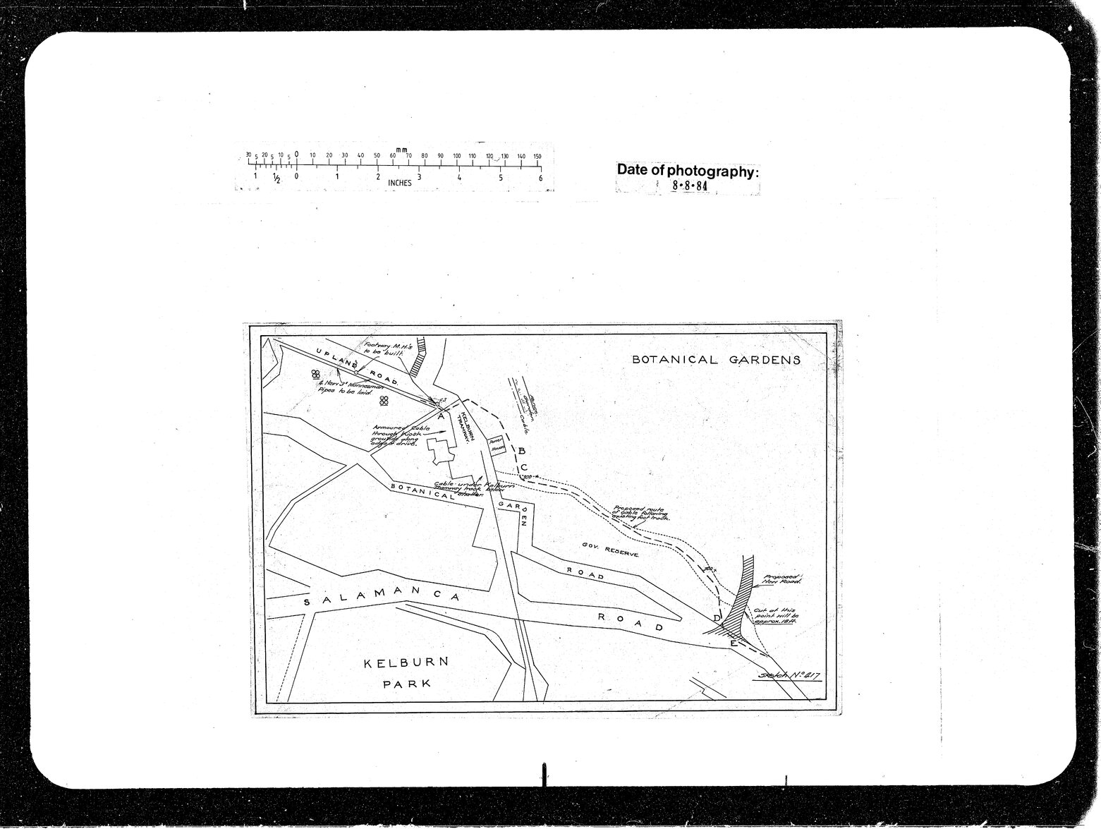 Botanical Gardens Telegraph Cables