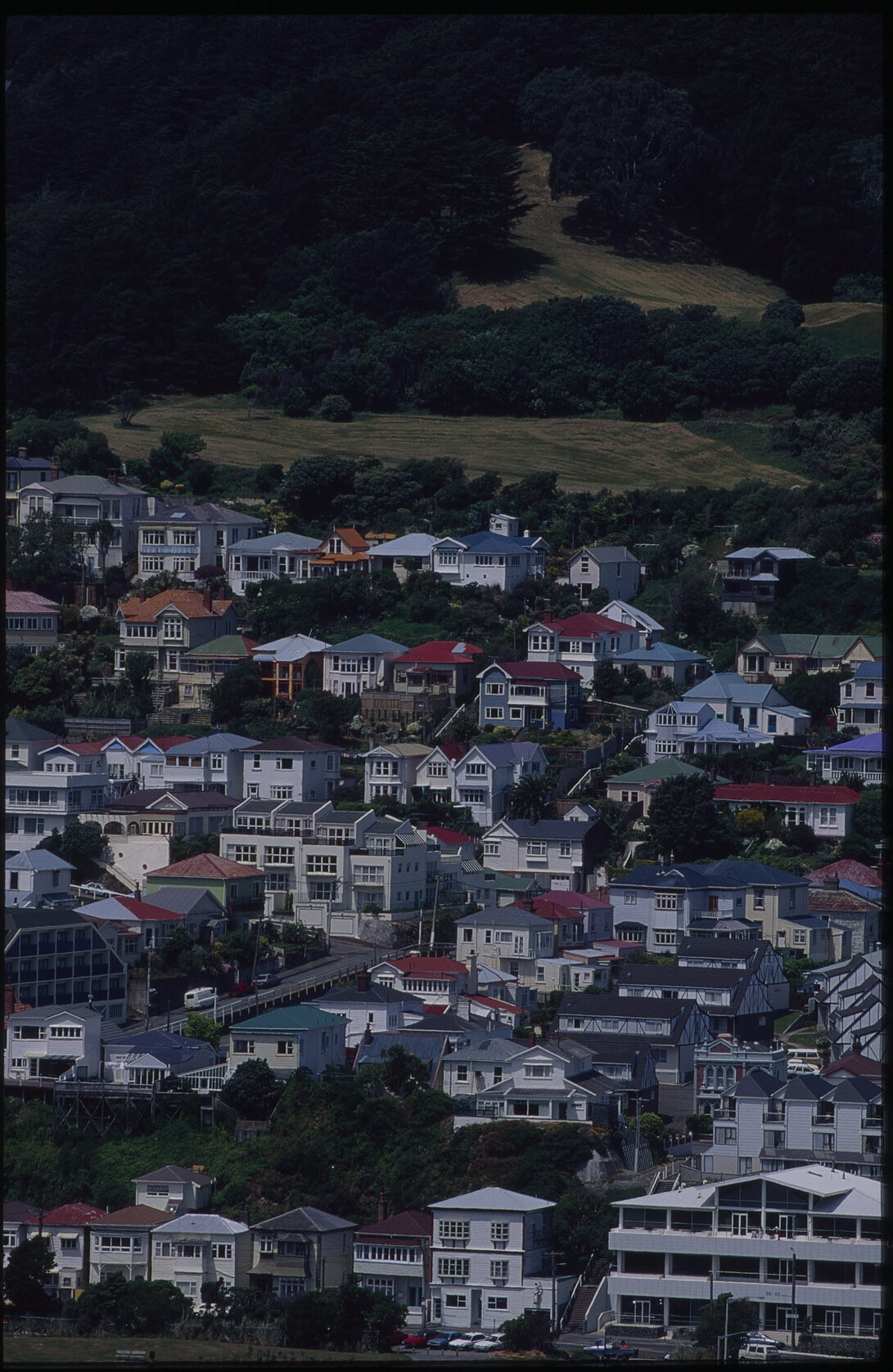 Oriental Parade looking towards the hills