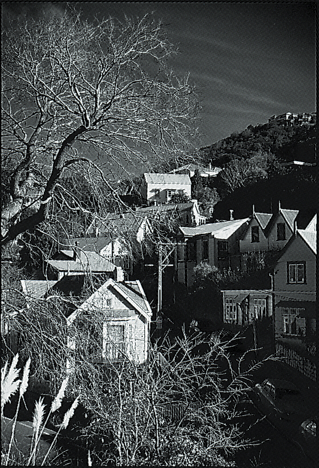 Corner Ascot Street and Sydney Street West