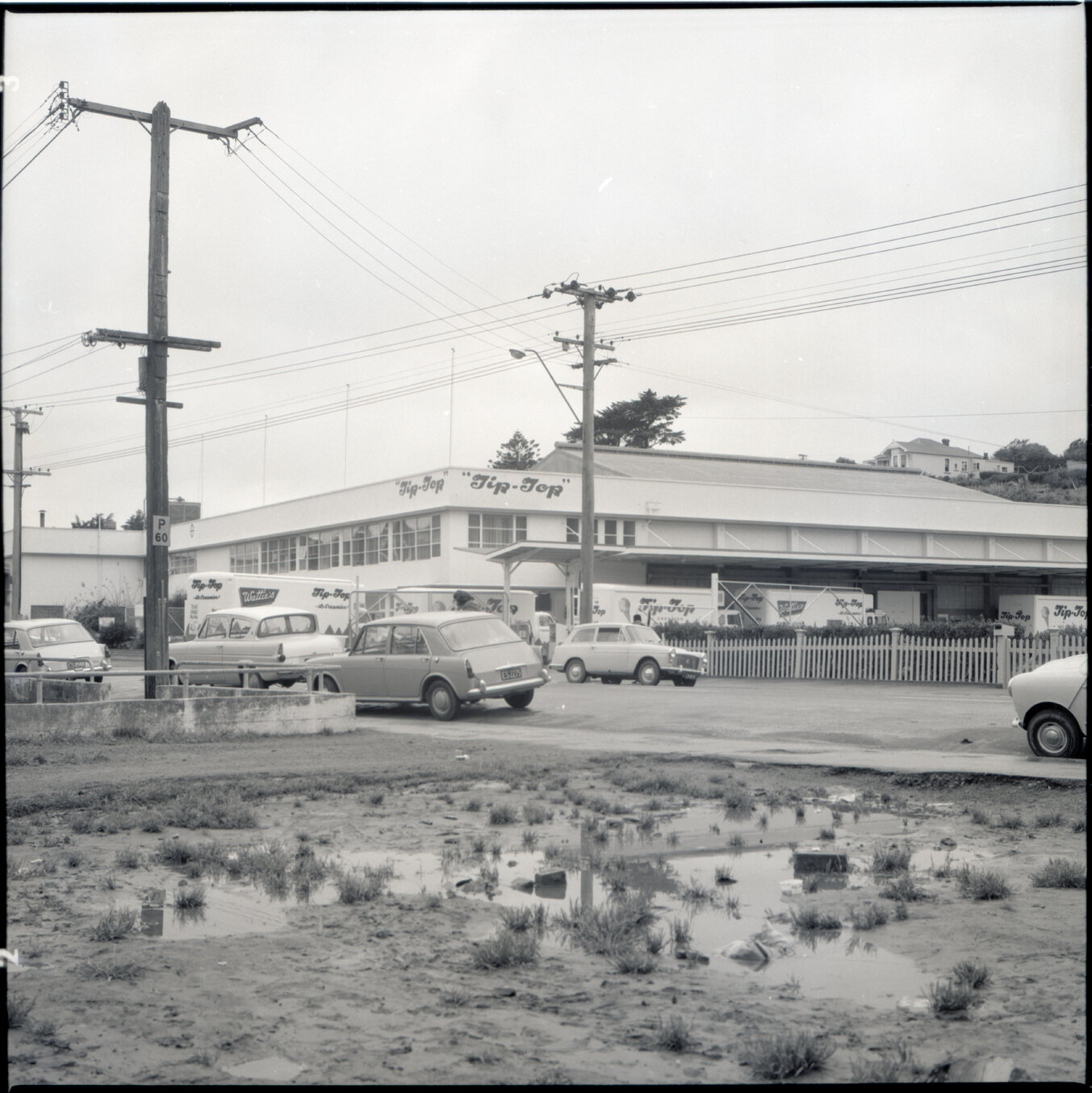 e. Tip-Top Ice Cream Factory