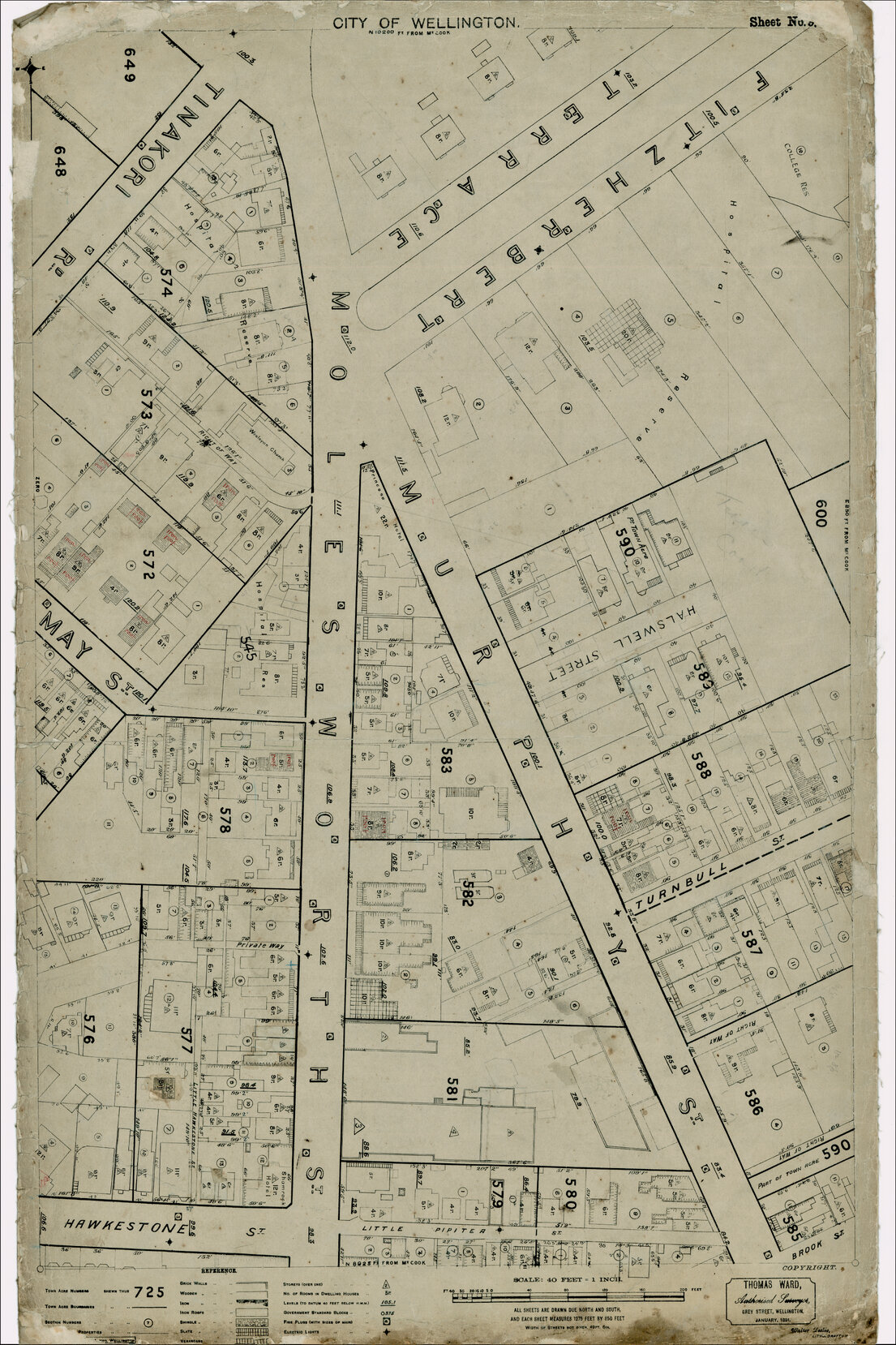 Thomas Ward survey map of Wellington City, sheet 9
