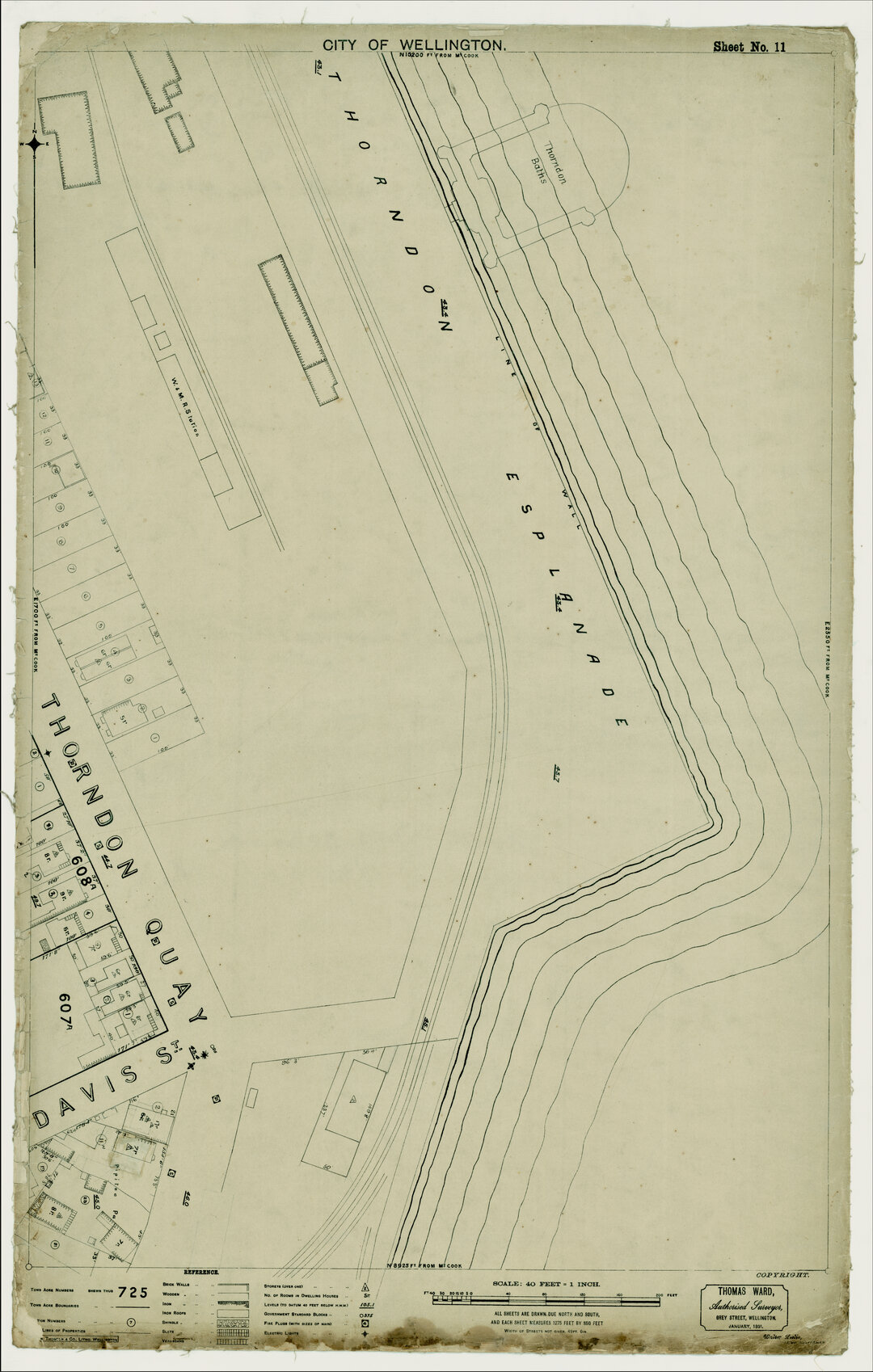 Thomas Ward survey map of Wellington City, sheet 11