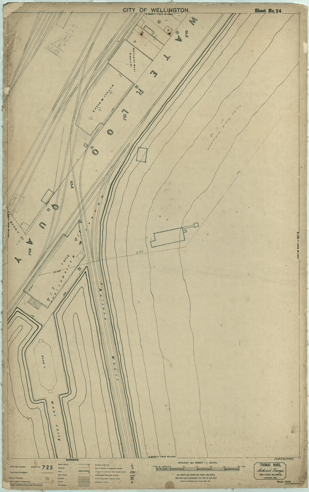Thomas Ward survey map of Wellington City, sheet 24