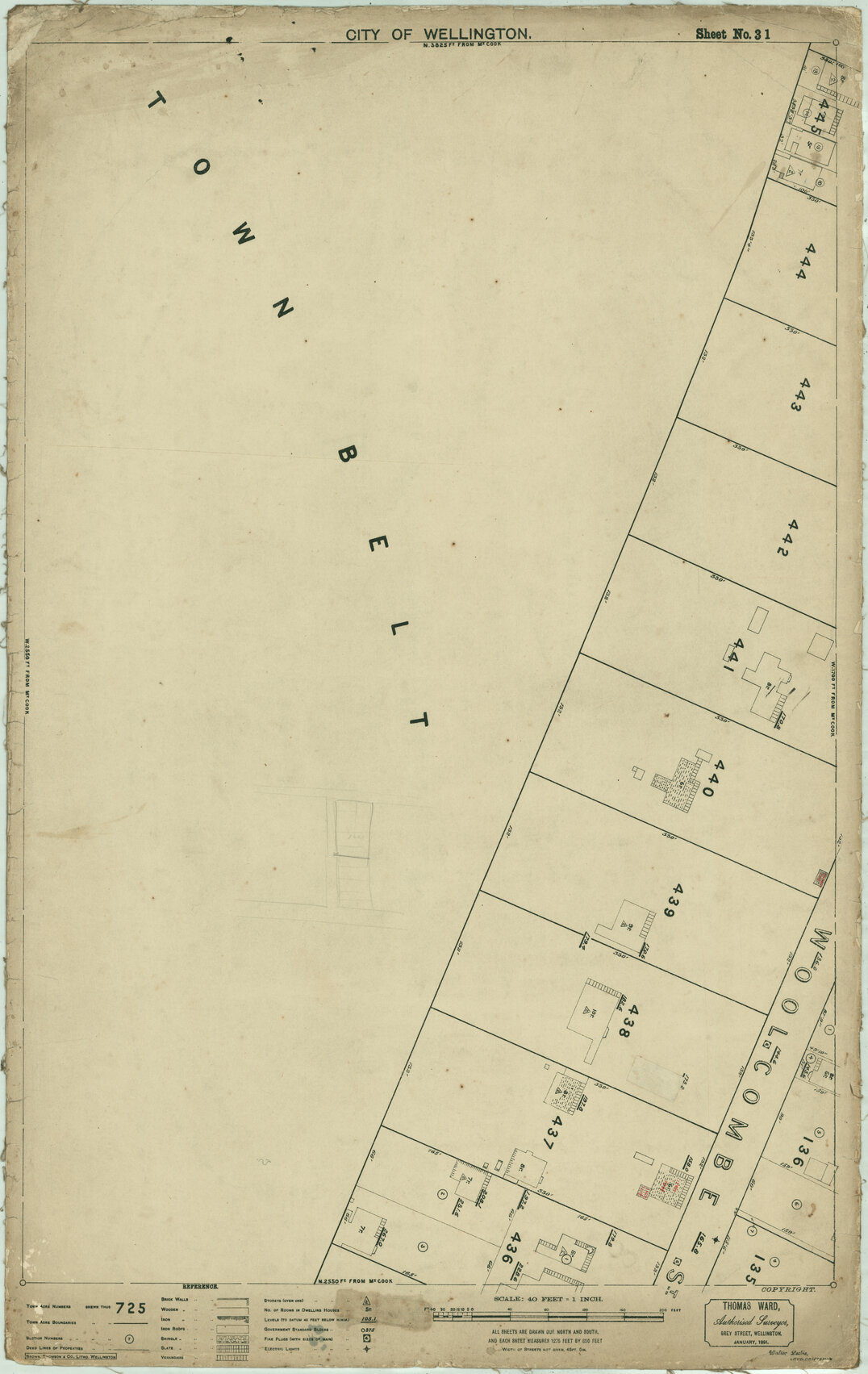 Thomas Ward survey map of Wellington City, sheet 31