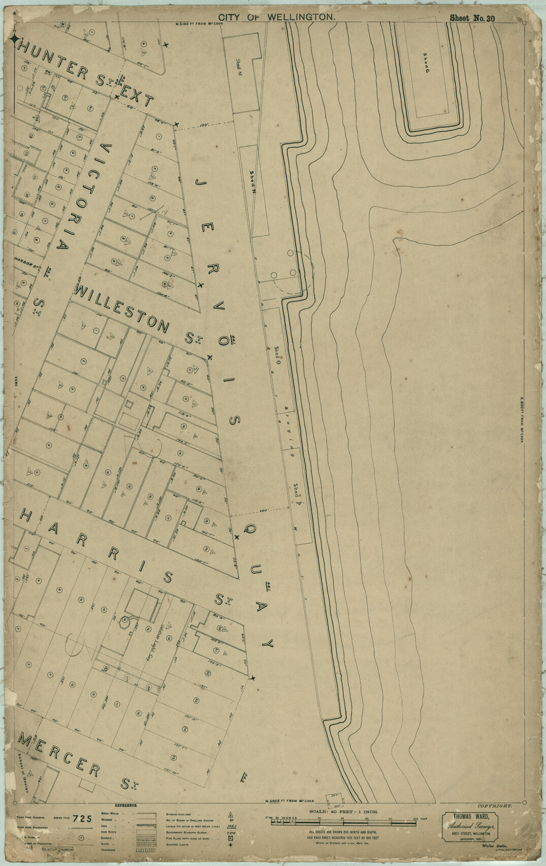 Thomas Ward survey map of Wellington City, sheet 30