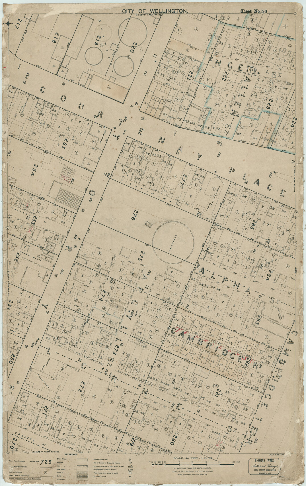 Thomas Ward survey map of Wellington City, sheet 50