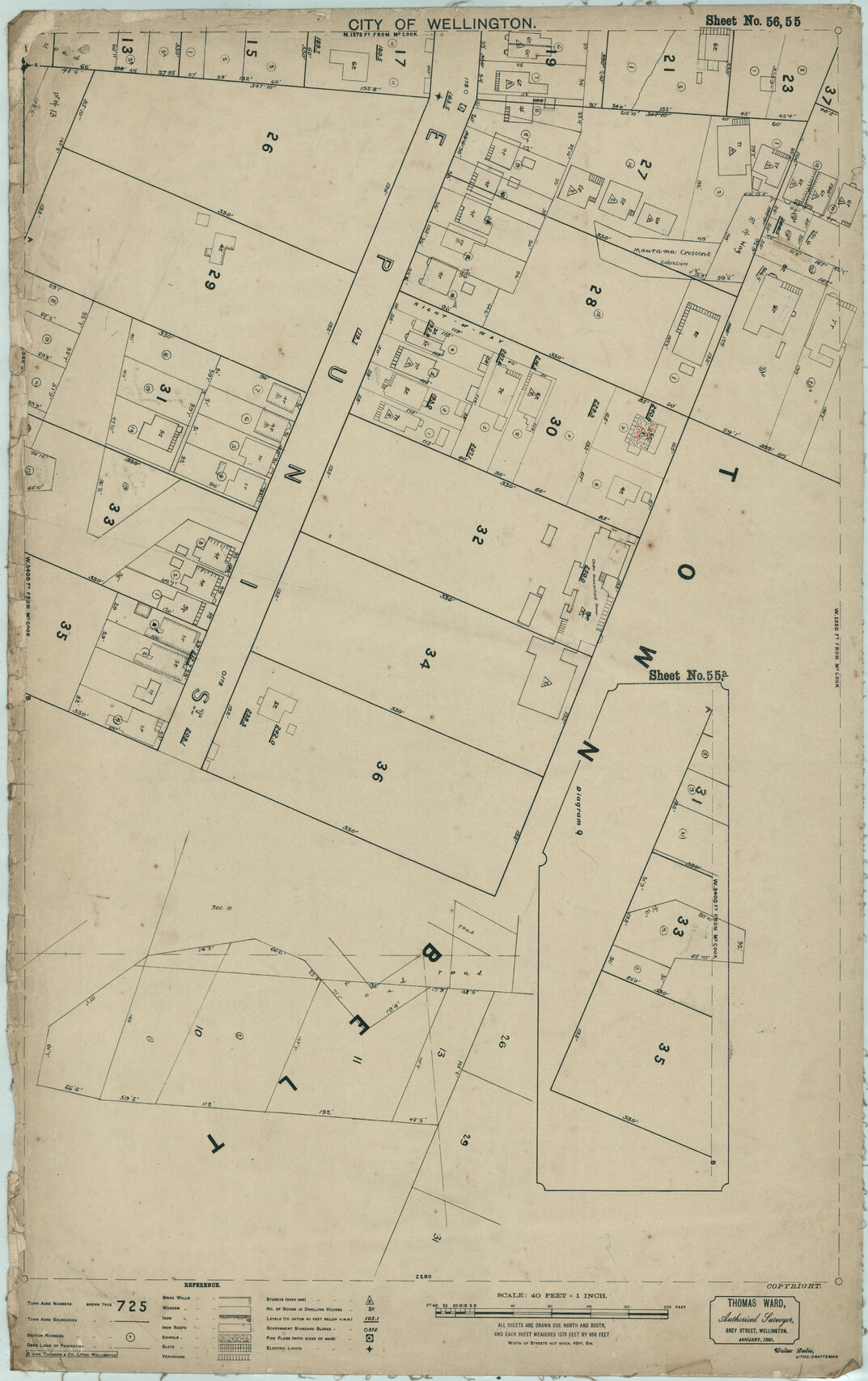 Thomas Ward survey map of Wellington City, sheet 55a, 56