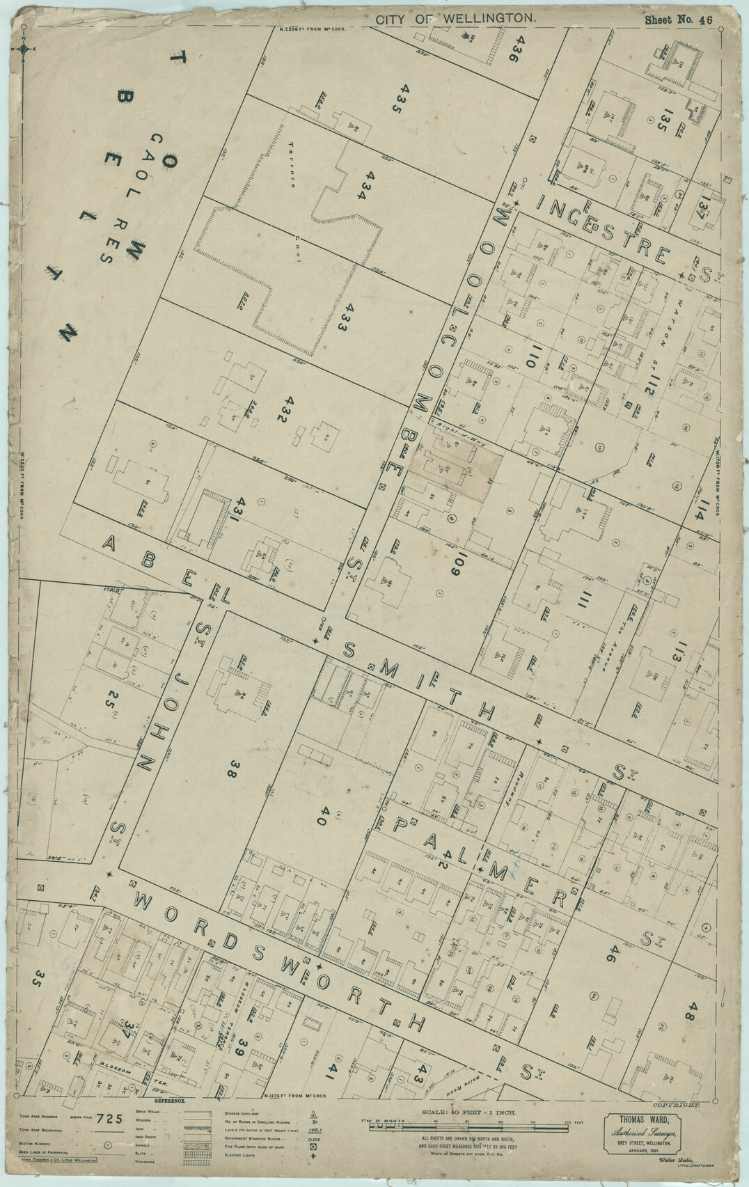 Thomas Ward survey map of Wellington City, sheet 46