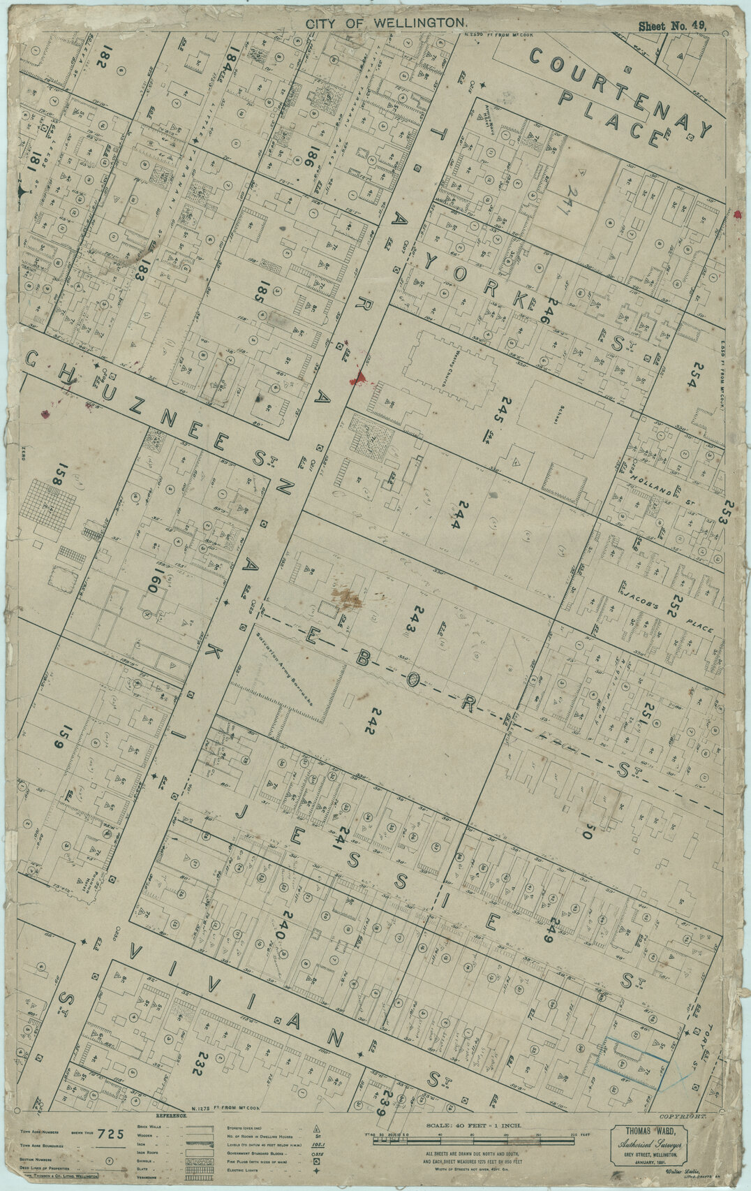 Thomas Ward survey map of Wellington City, sheet 49