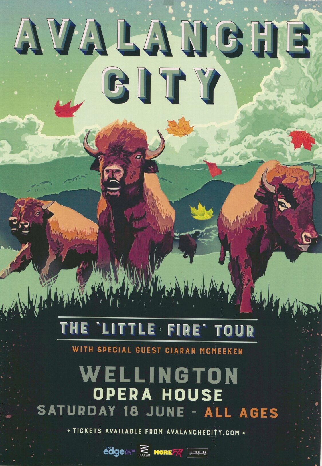 Avalanche City