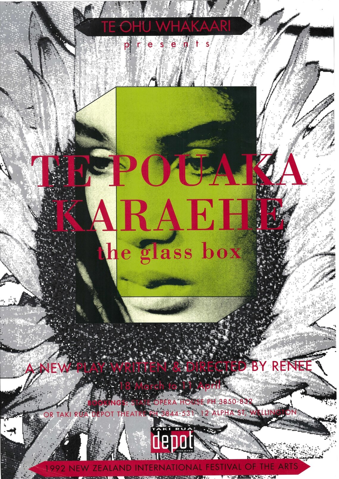 Te Pouaka Karaehe, The Glass Box