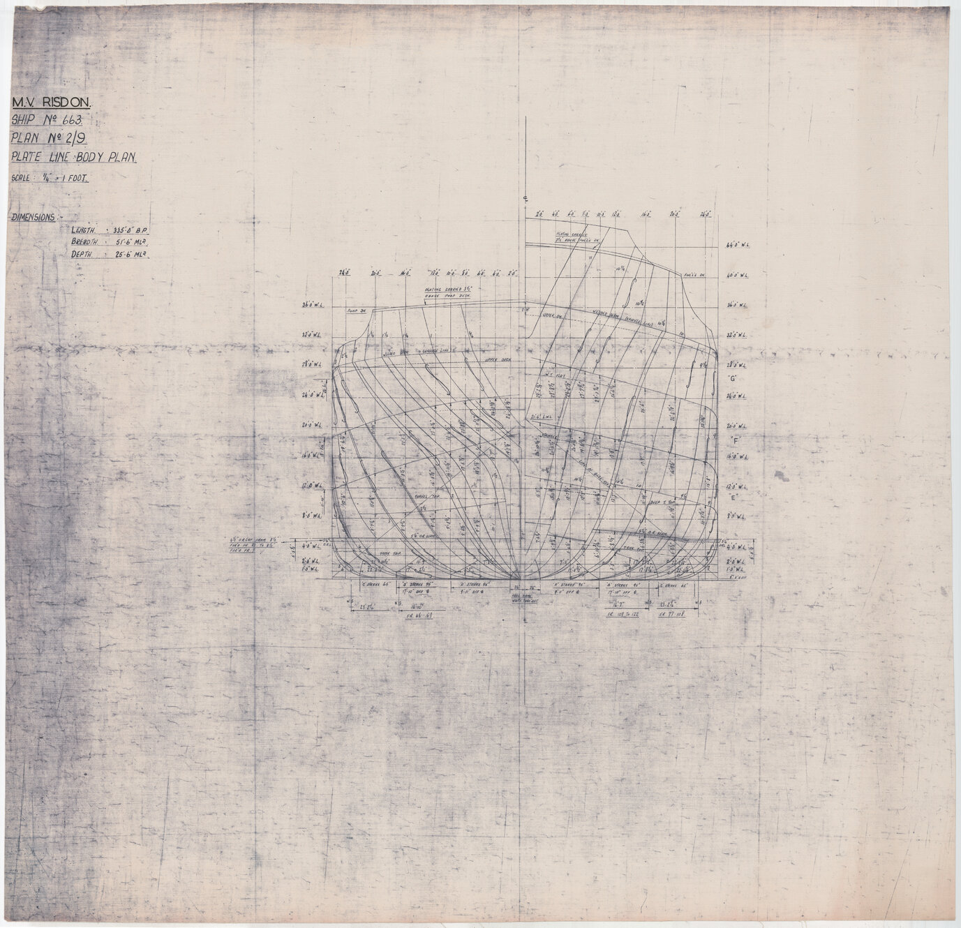 MV Risdon, plate line body plan