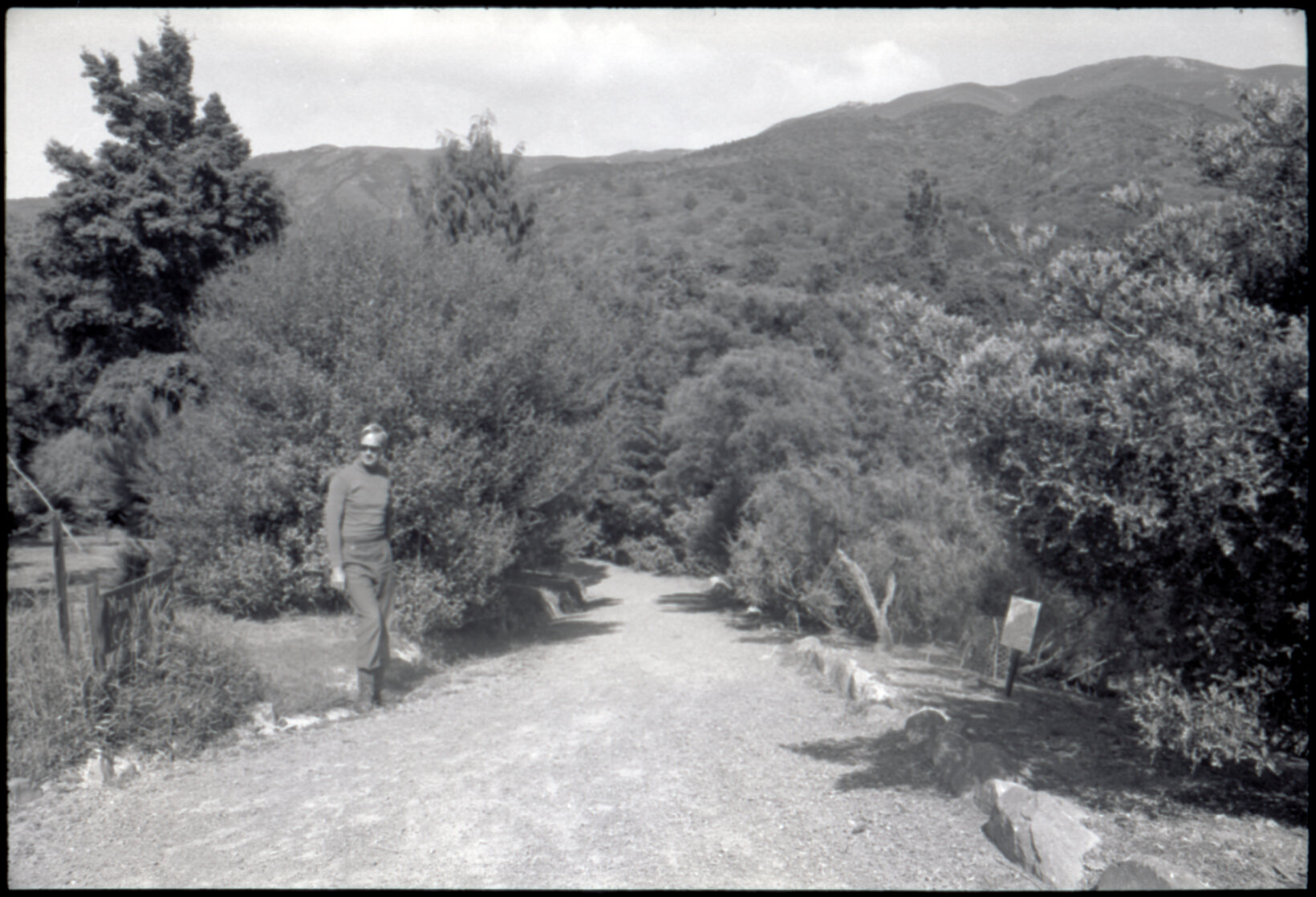 Otari Gardens, shrubs etc