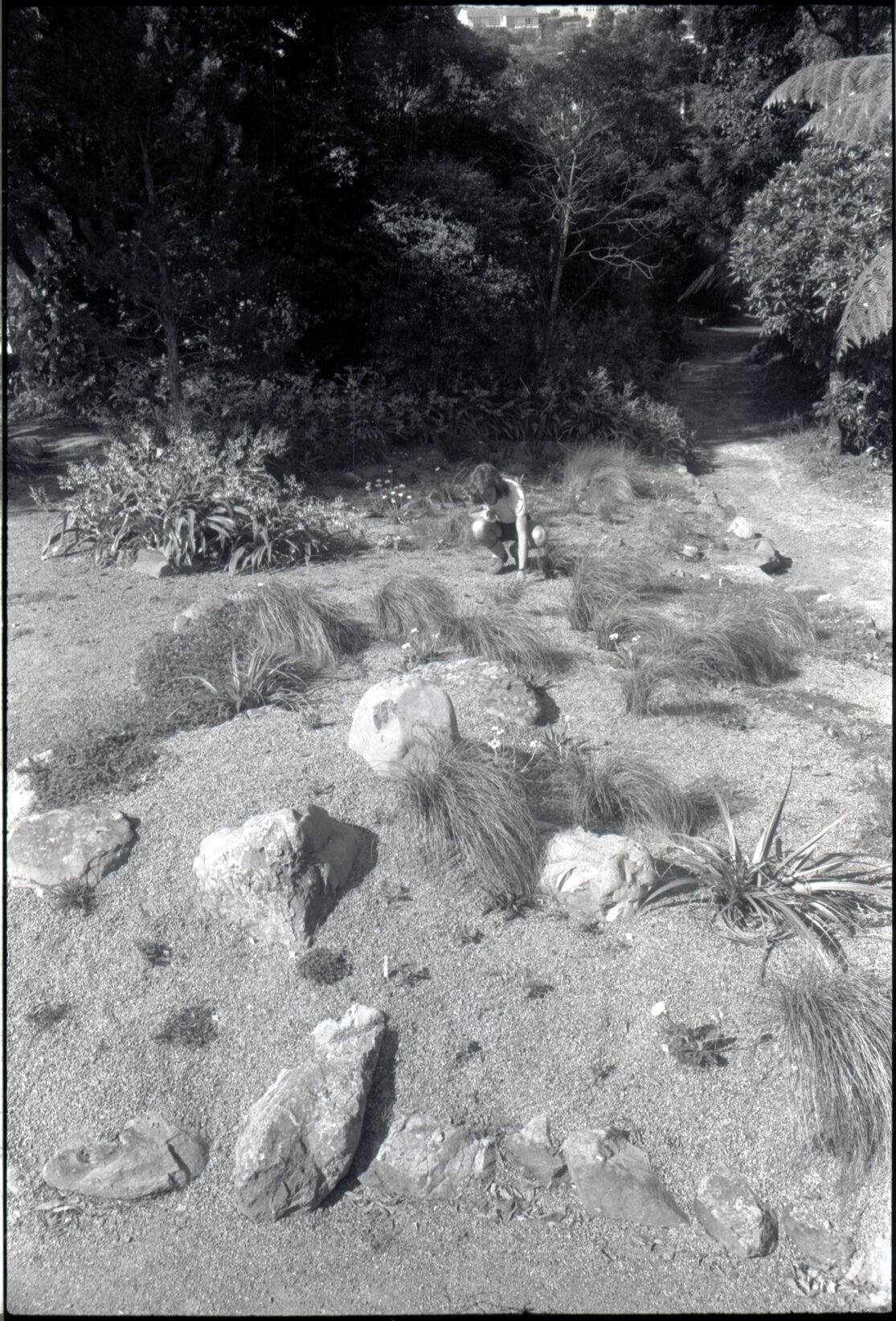 Otari Gardens, Otari old alpine rock garden, pre-1999