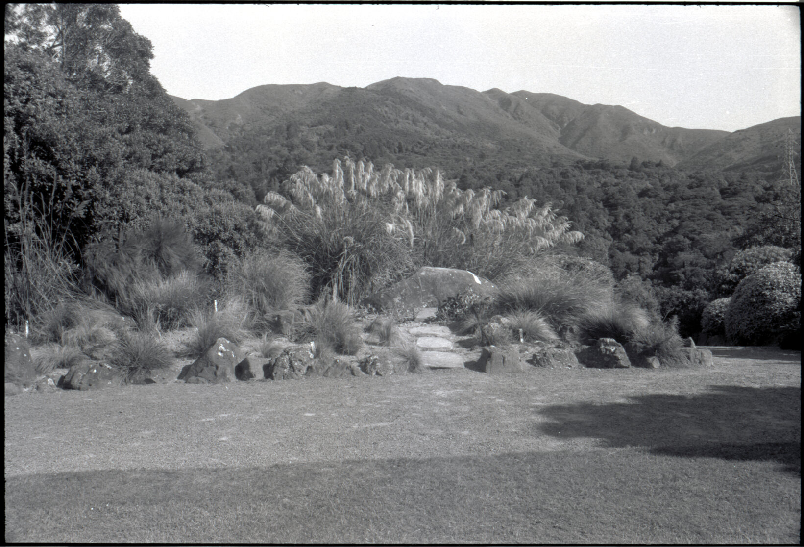 Otari Gardens, Cockayne's grave from Cockayne Lawn