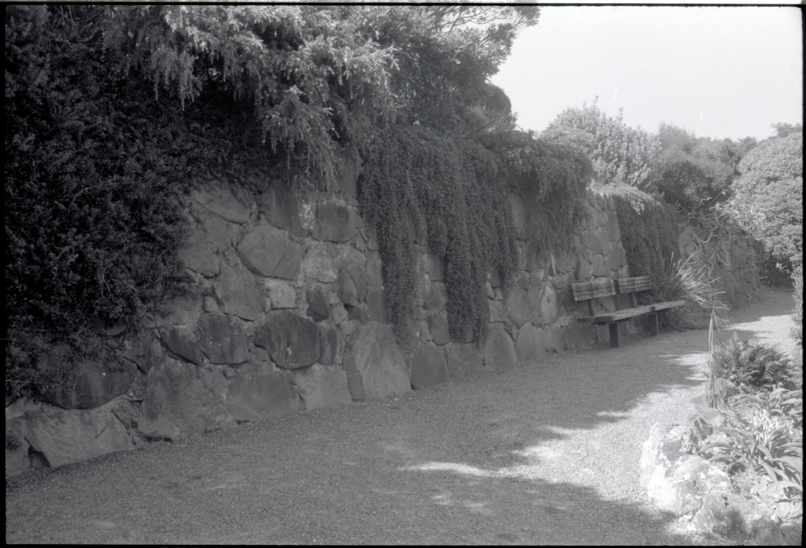 Otari Gardens, shrubs etc