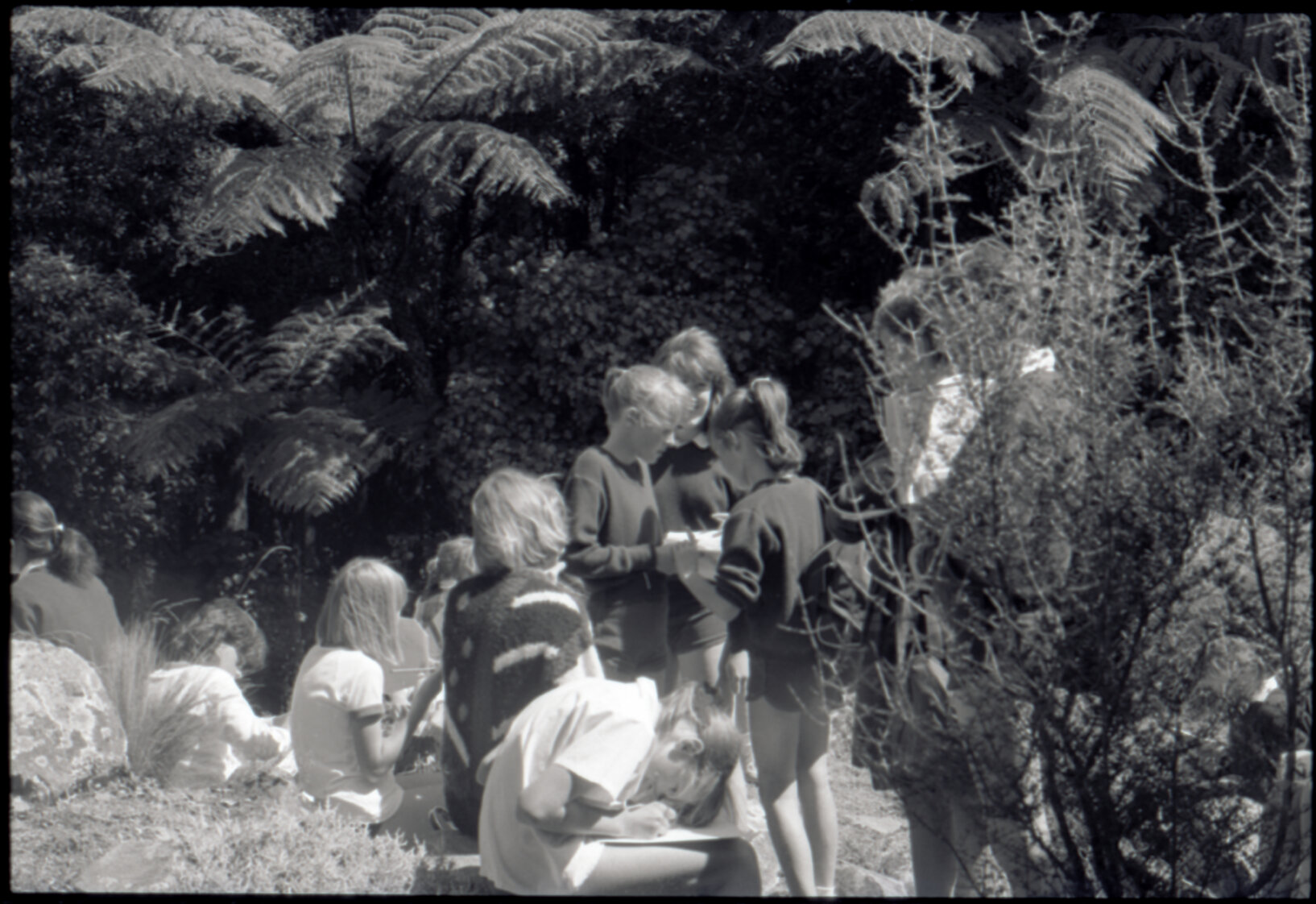 Otari Park (children)
