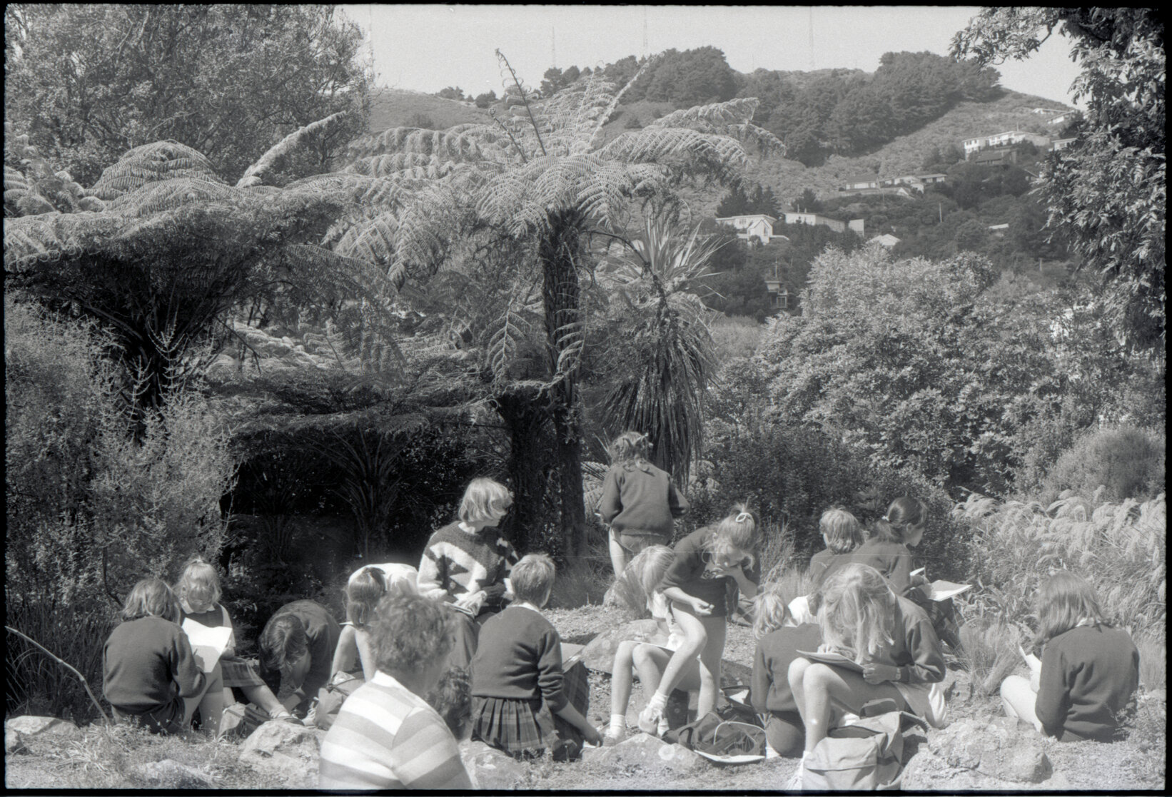 Otari Park (children)