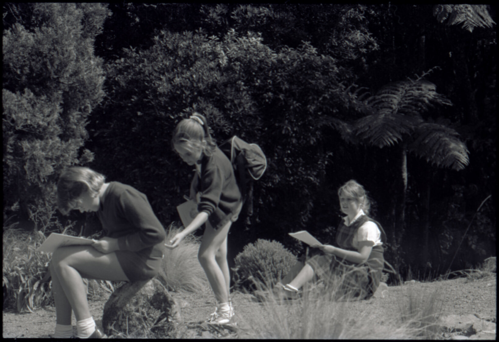 Otari Park (children)