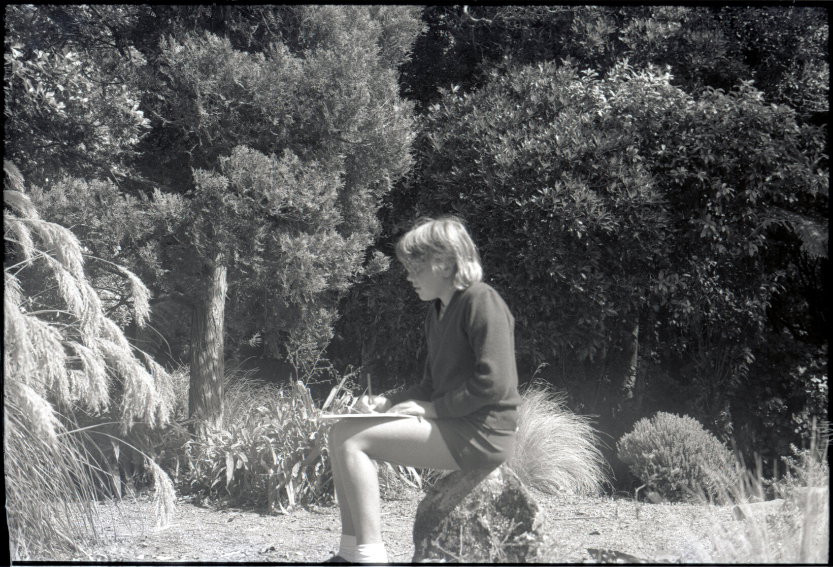 Otari Park (children)