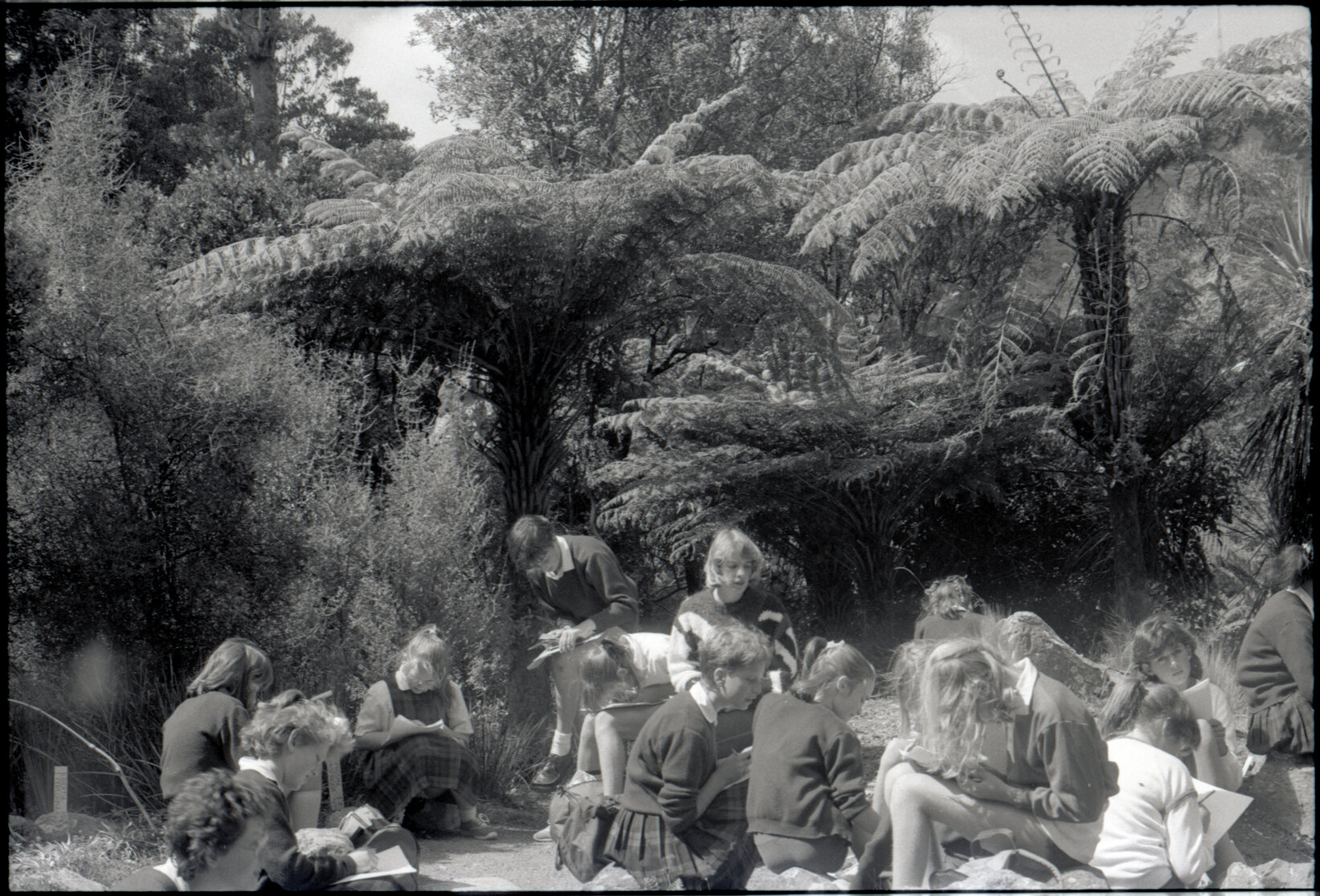 Otari Park (children)