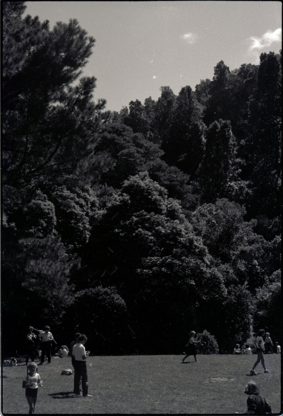 Otari Park (children)