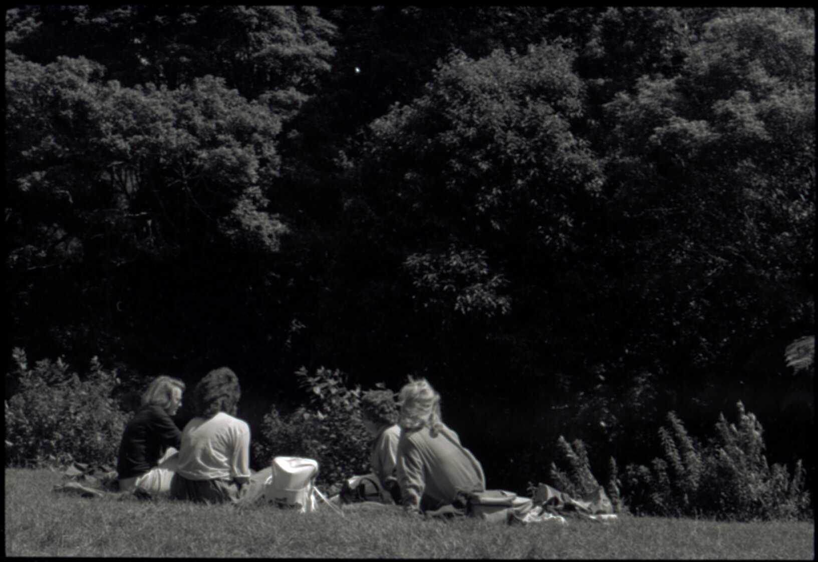Otari Park (children)