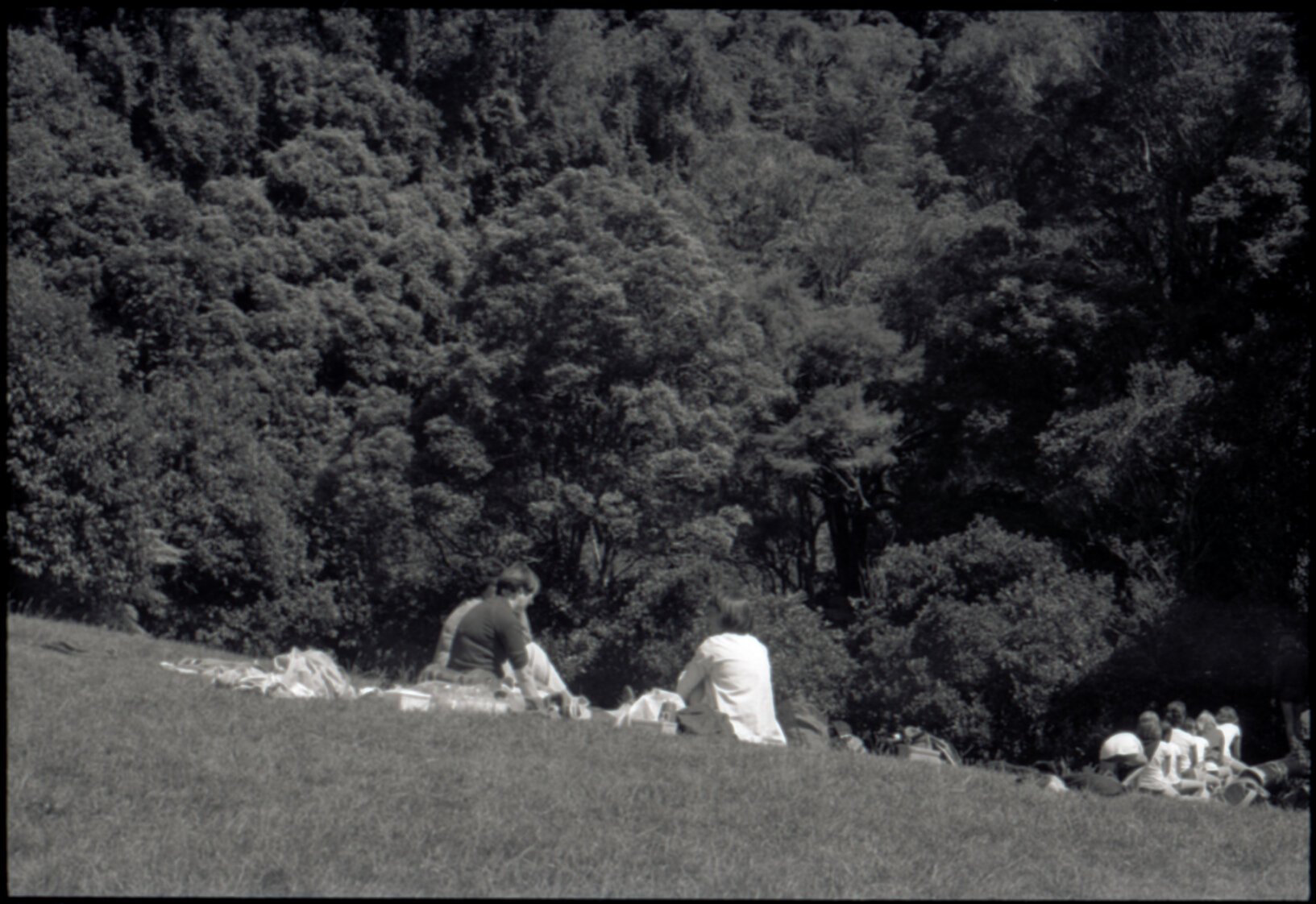 Otari Park (children)
