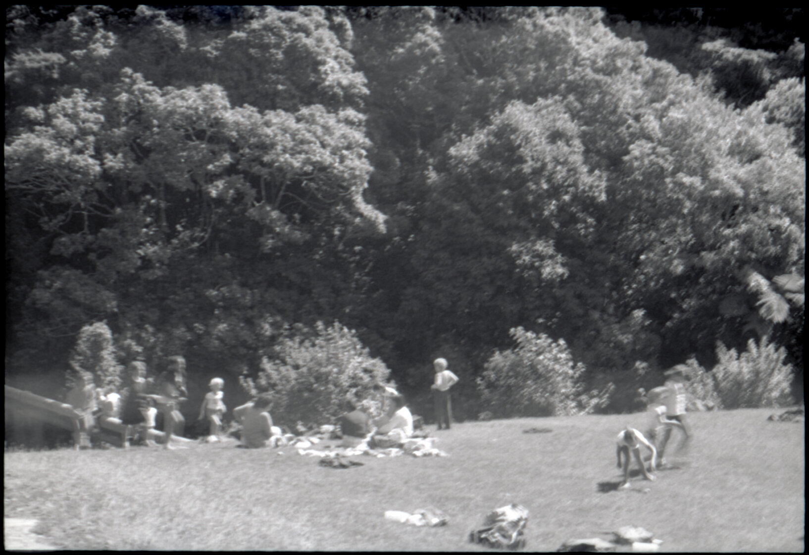 Otari Park (children)