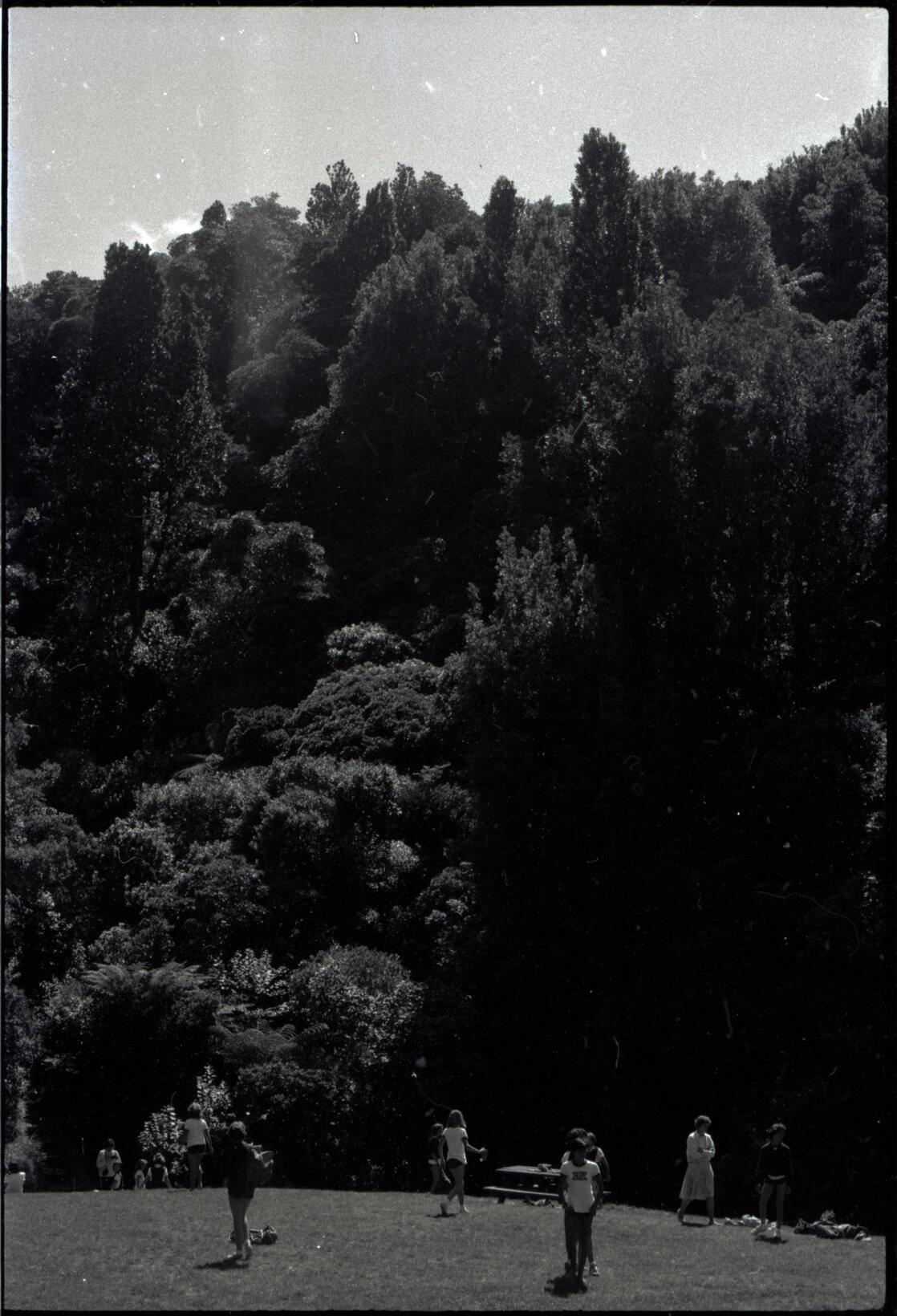 Otari Park (children)