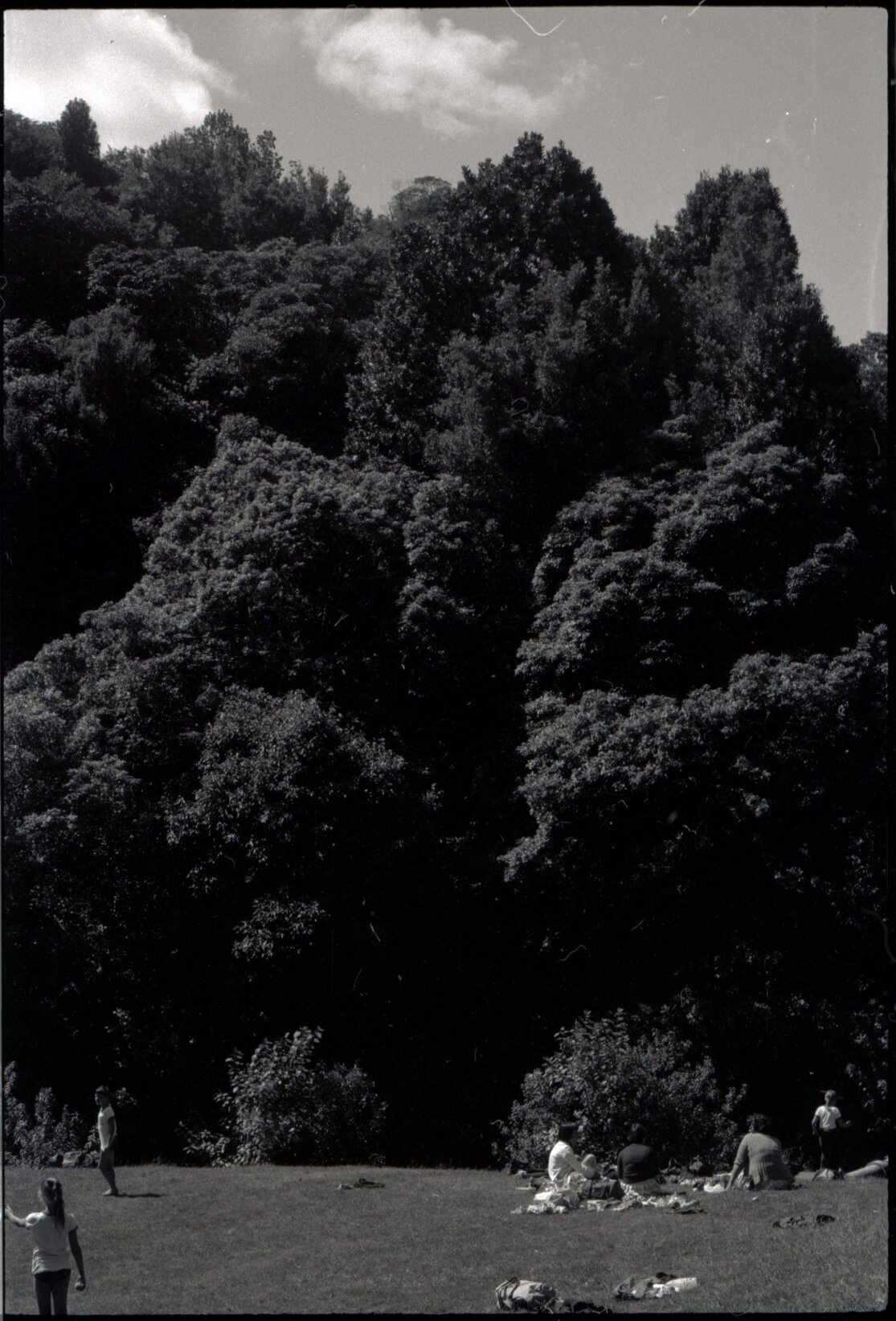 Otari Park (children)