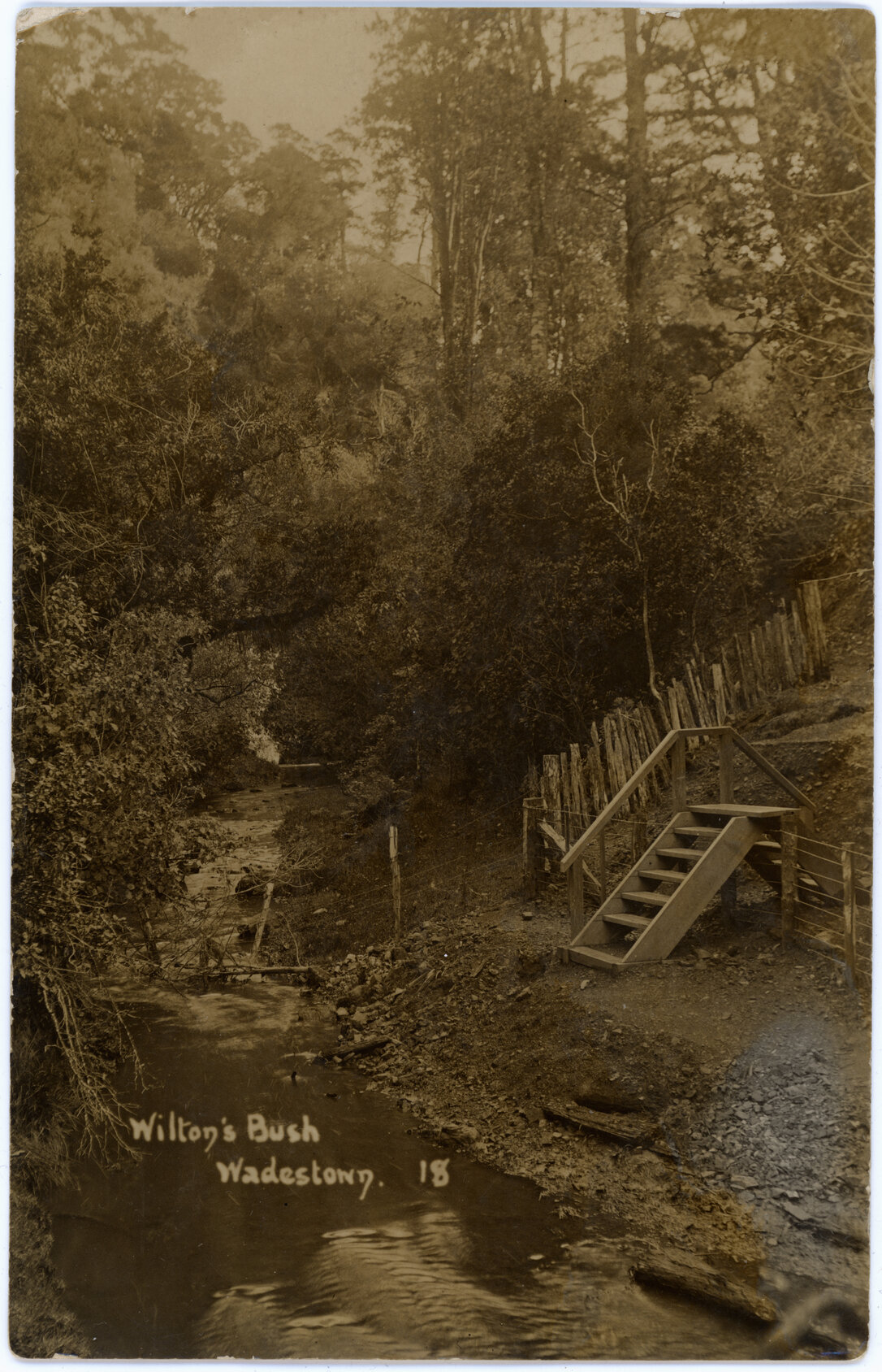 Wilton's Bush, Wadestown