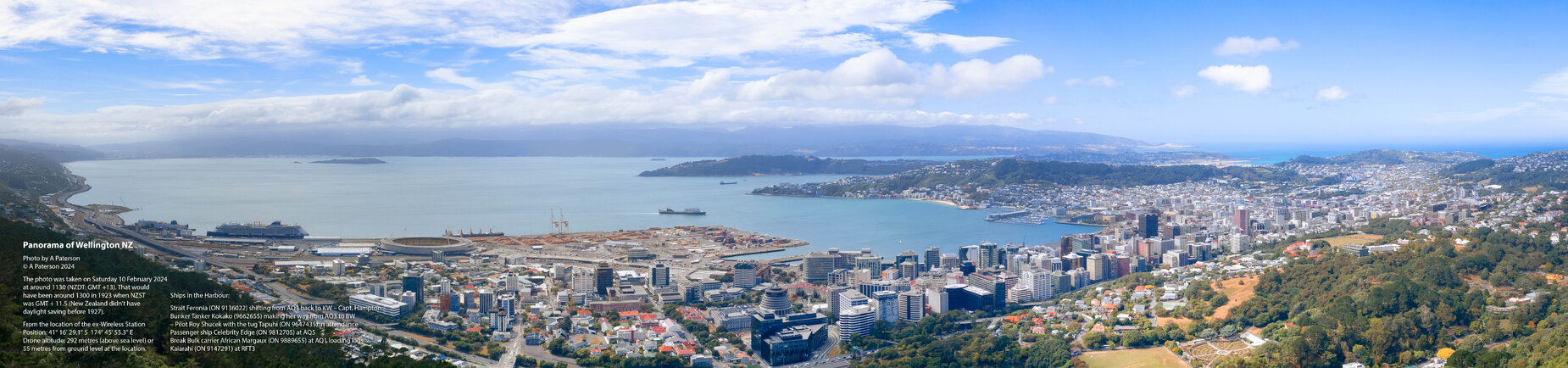 Panorama of Wellington, from Wireless Station, 2024