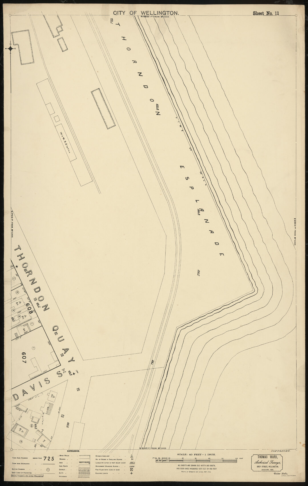 Thomas Ward survey map of Wellington City, sheet 11