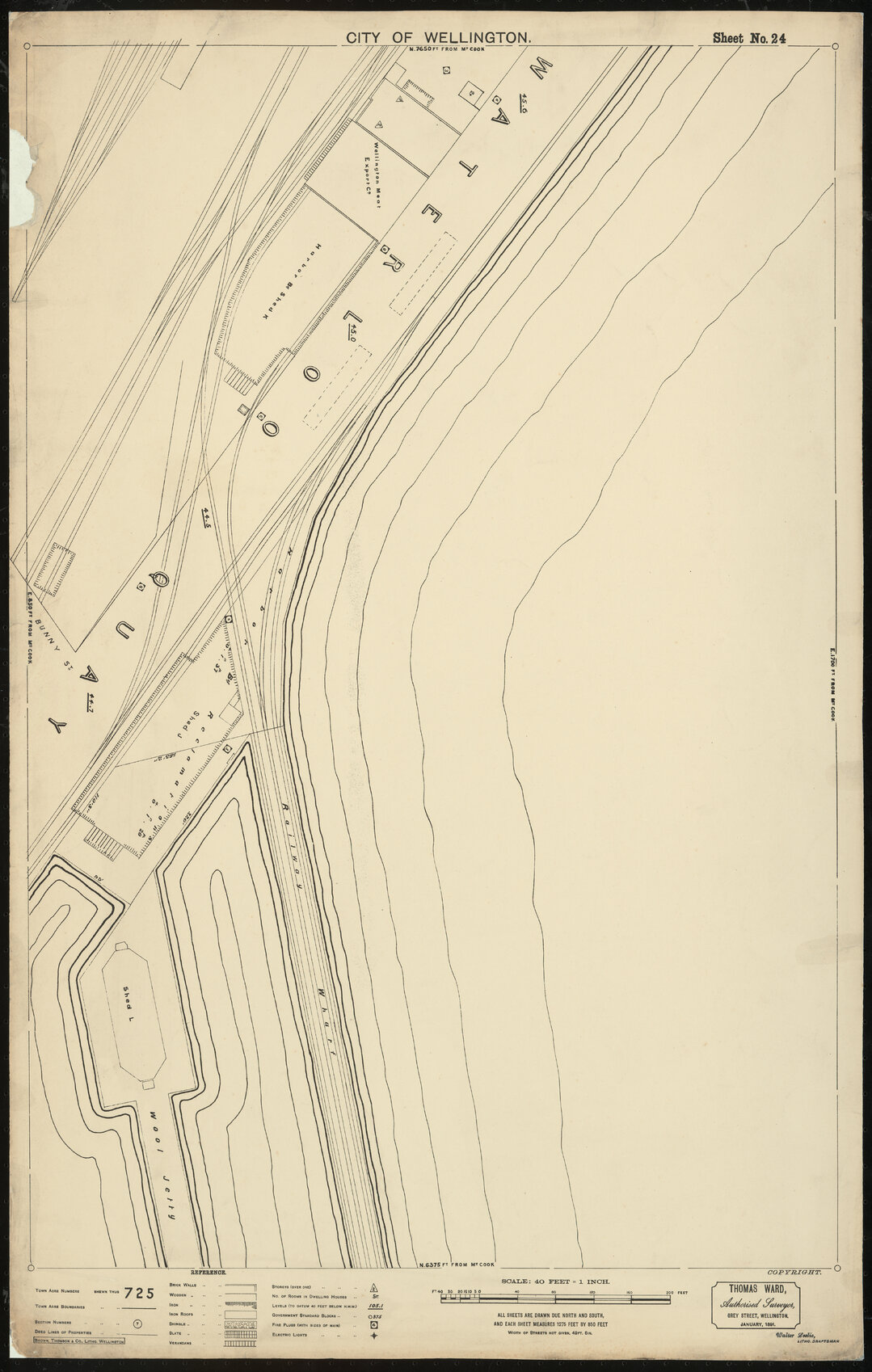 Thomas Ward survey map of Wellington City, sheet 24