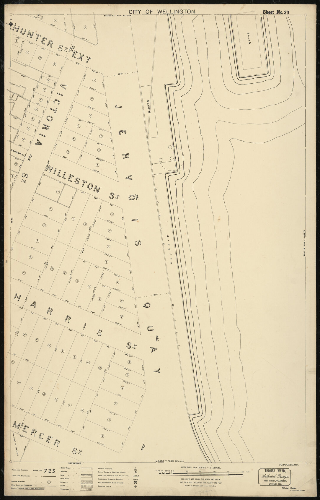 Thomas Ward survey map of Wellington City, sheet 30