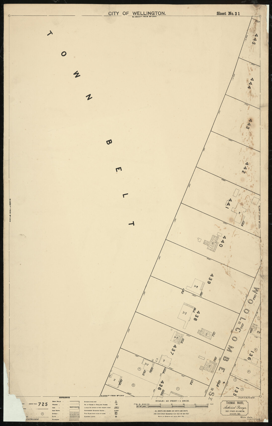 Thomas Ward survey map of Wellington City, sheet 31