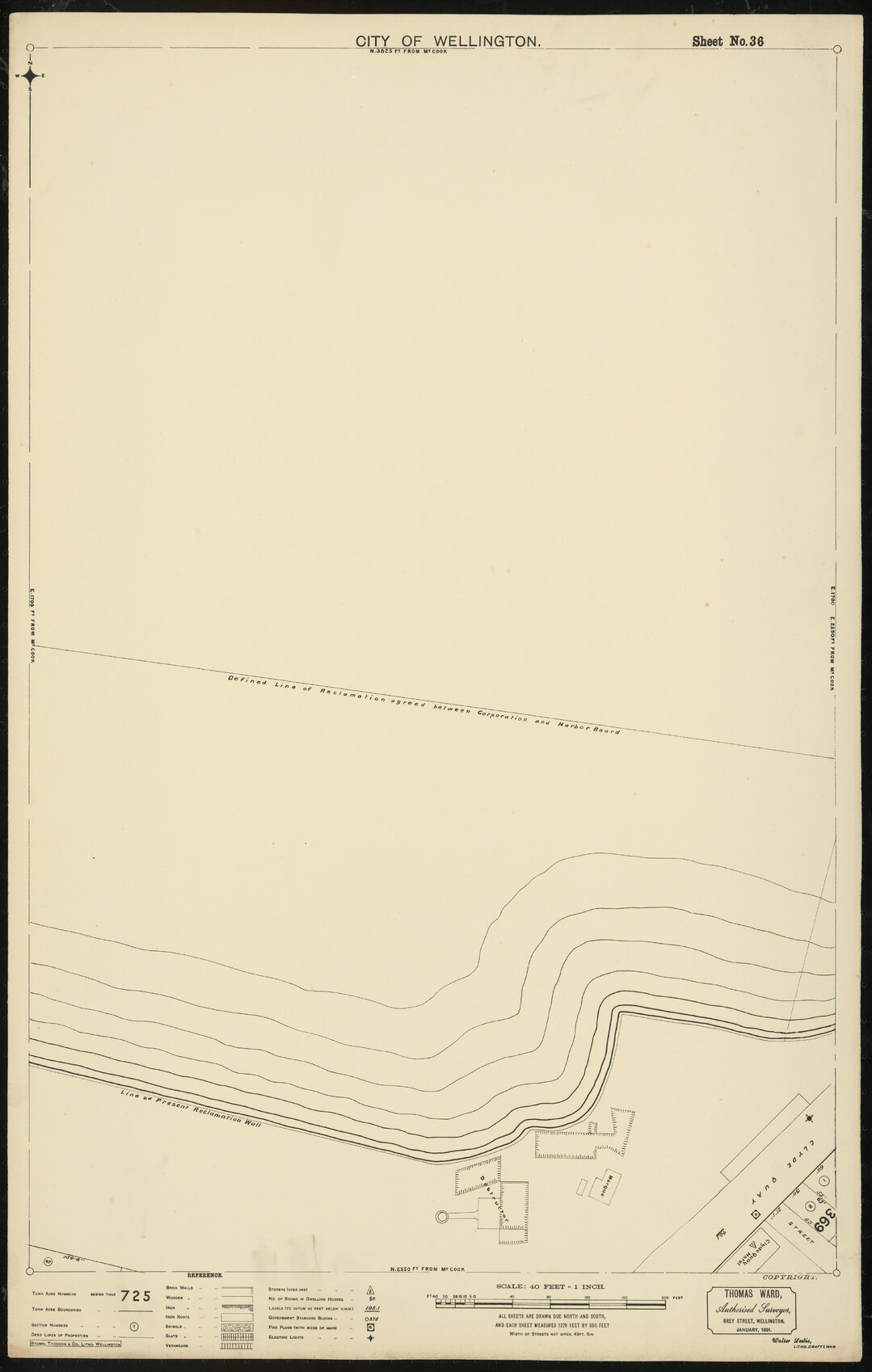 Thomas Ward survey map of Wellington City, sheet 36