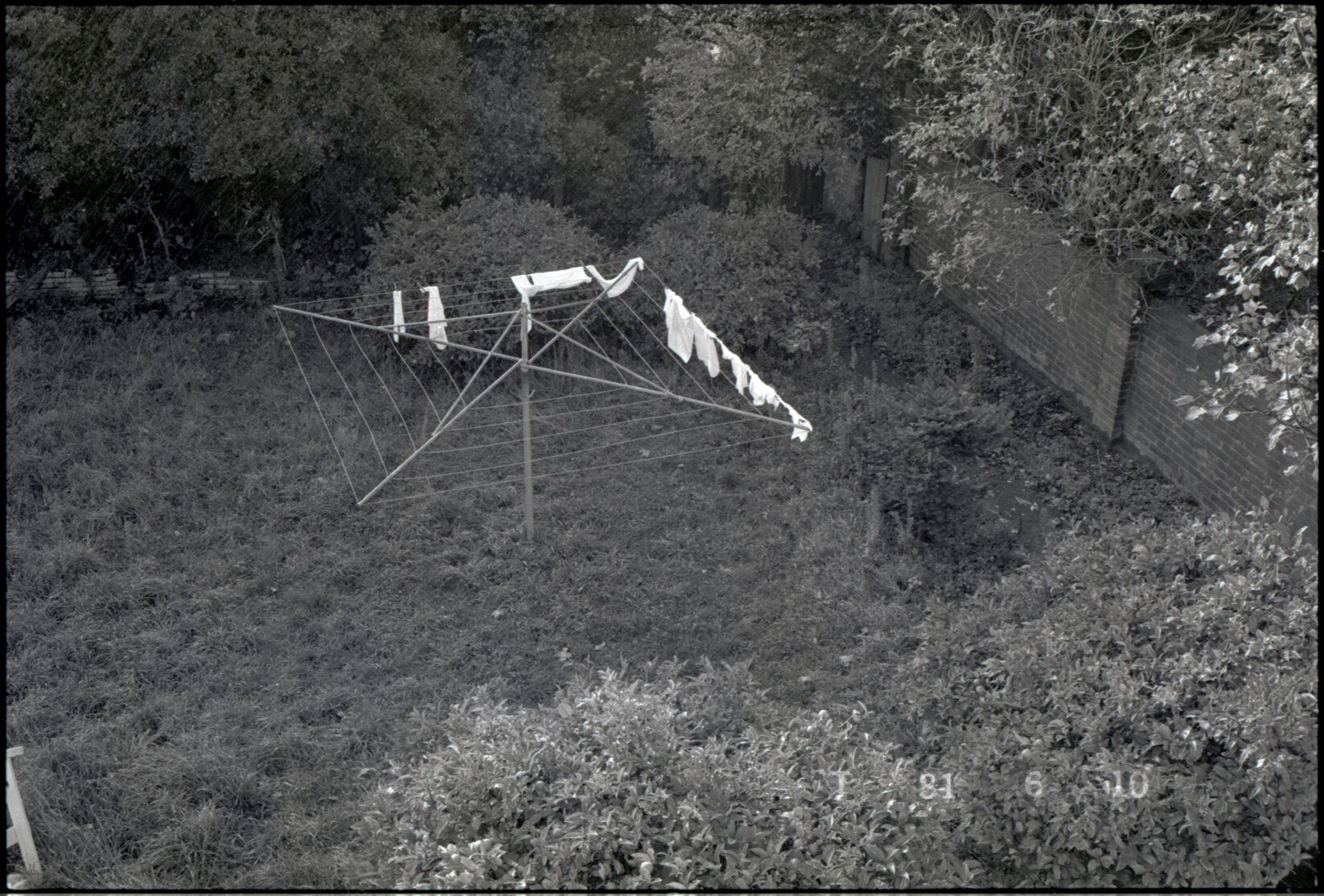 Backyard, Thorndon and Tinakori Road areas
