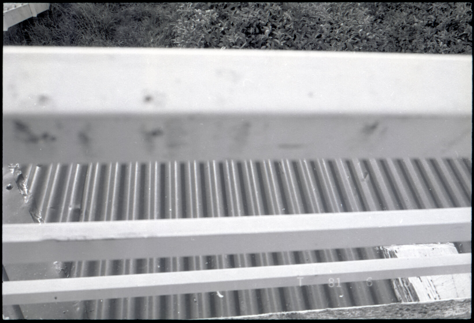 Backyard, Thorndon and Tinakori Road areas