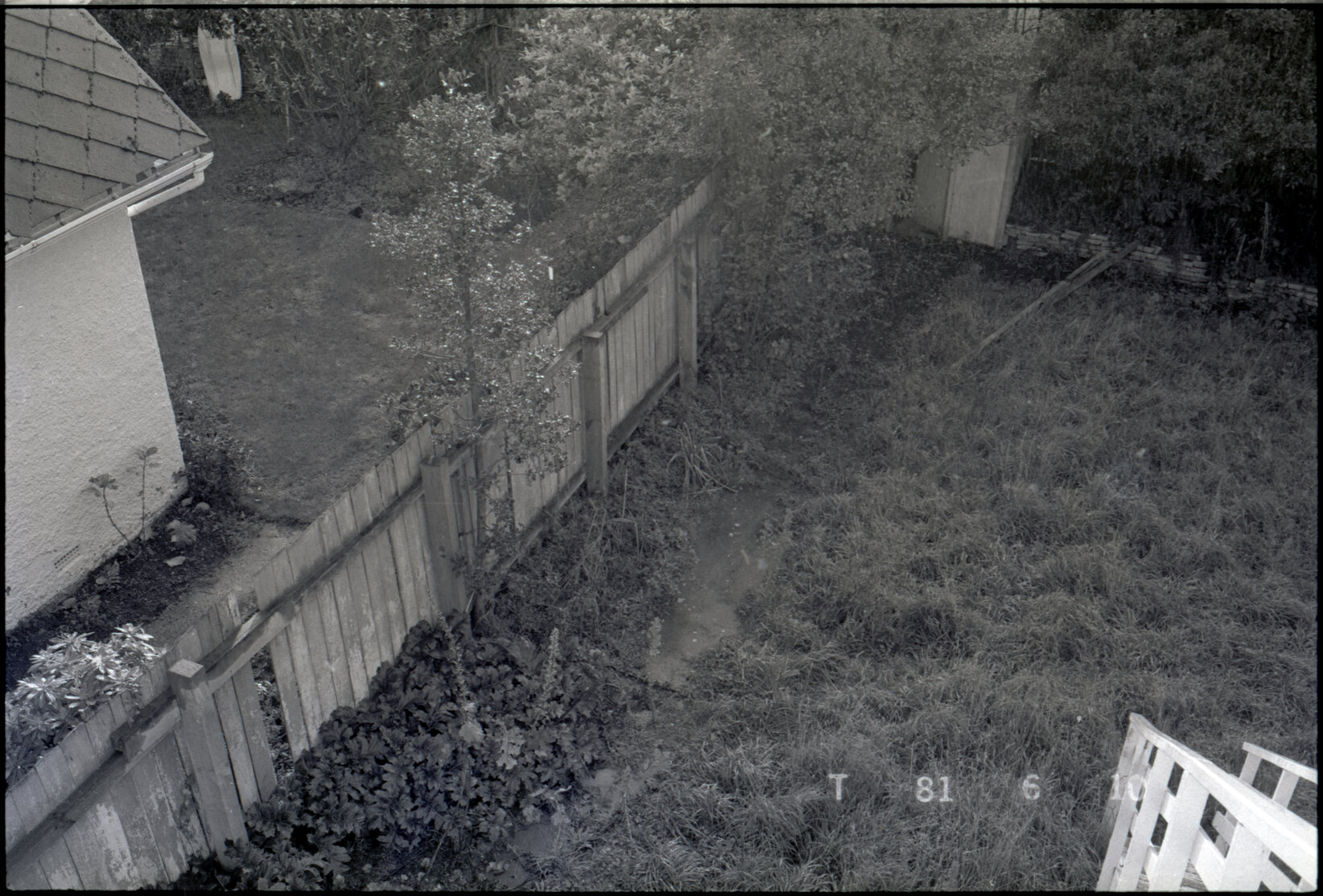 Backyard, Thorndon and Tinakori Road areas