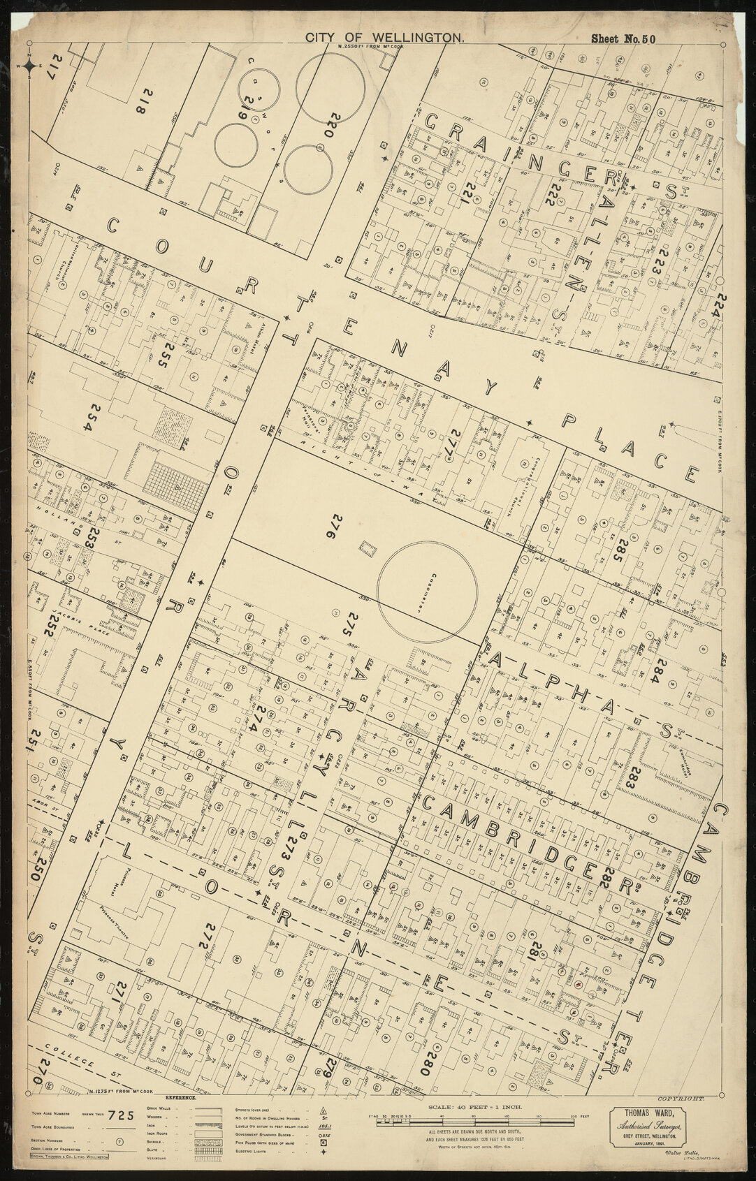 Thomas Ward survey map of Wellington City, sheet 50