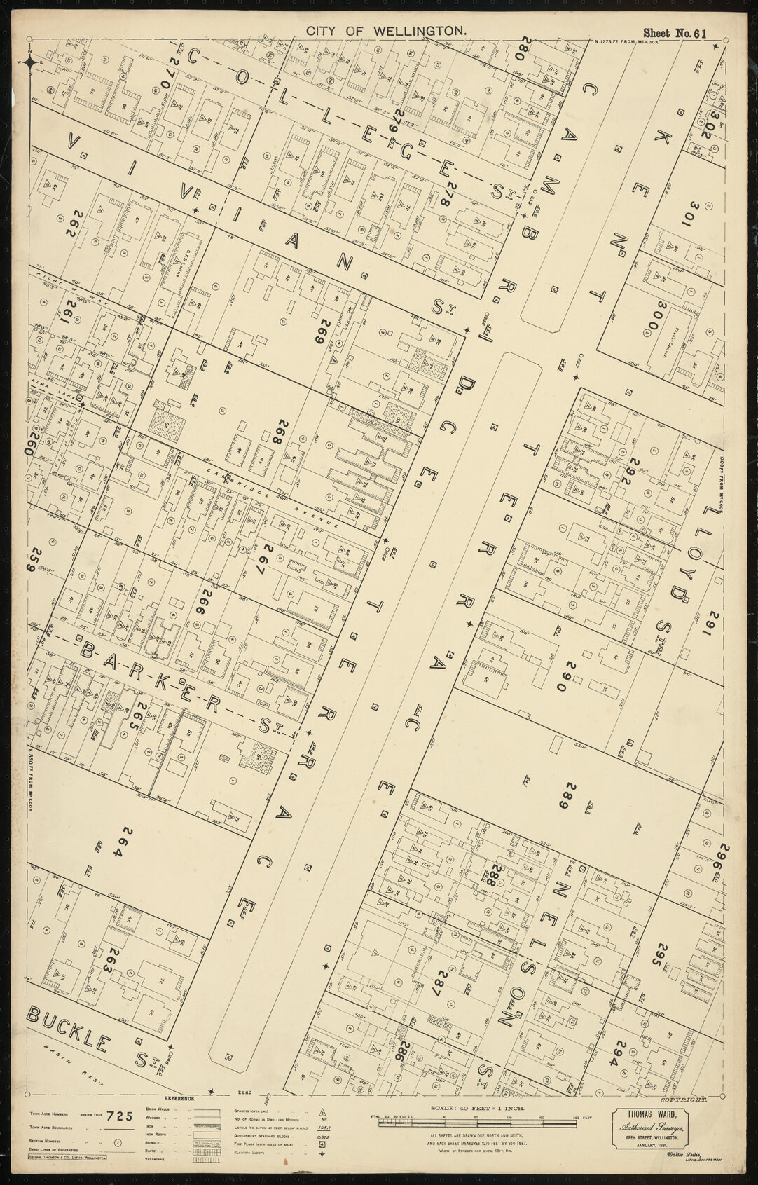 Thomas Ward survey map of Wellington City, sheet 61