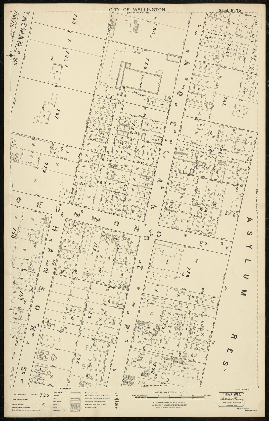 Thomas Ward survey map of Wellington City, sheet 75