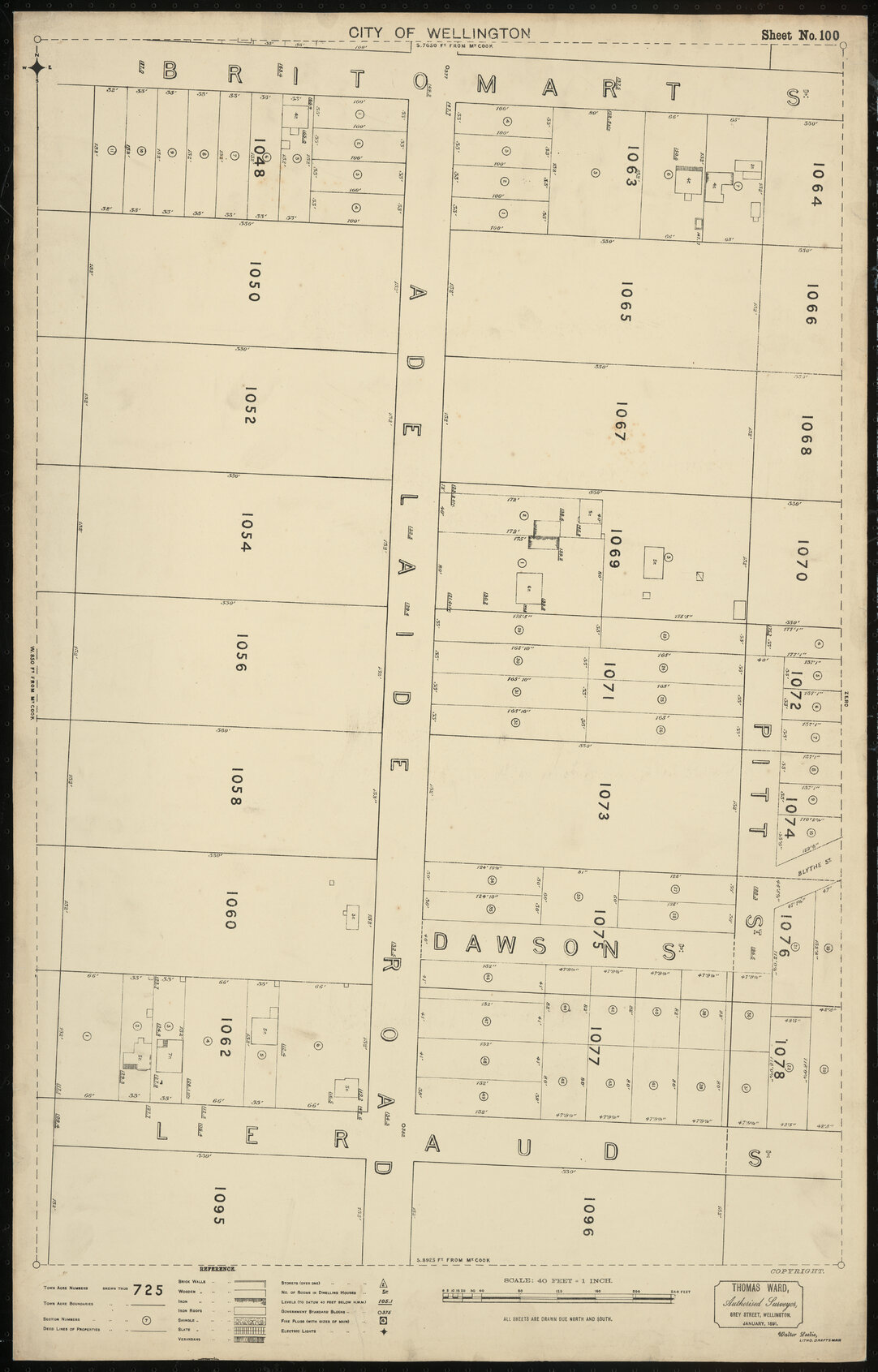 Thomas Ward survey map of Wellington City, sheet 100