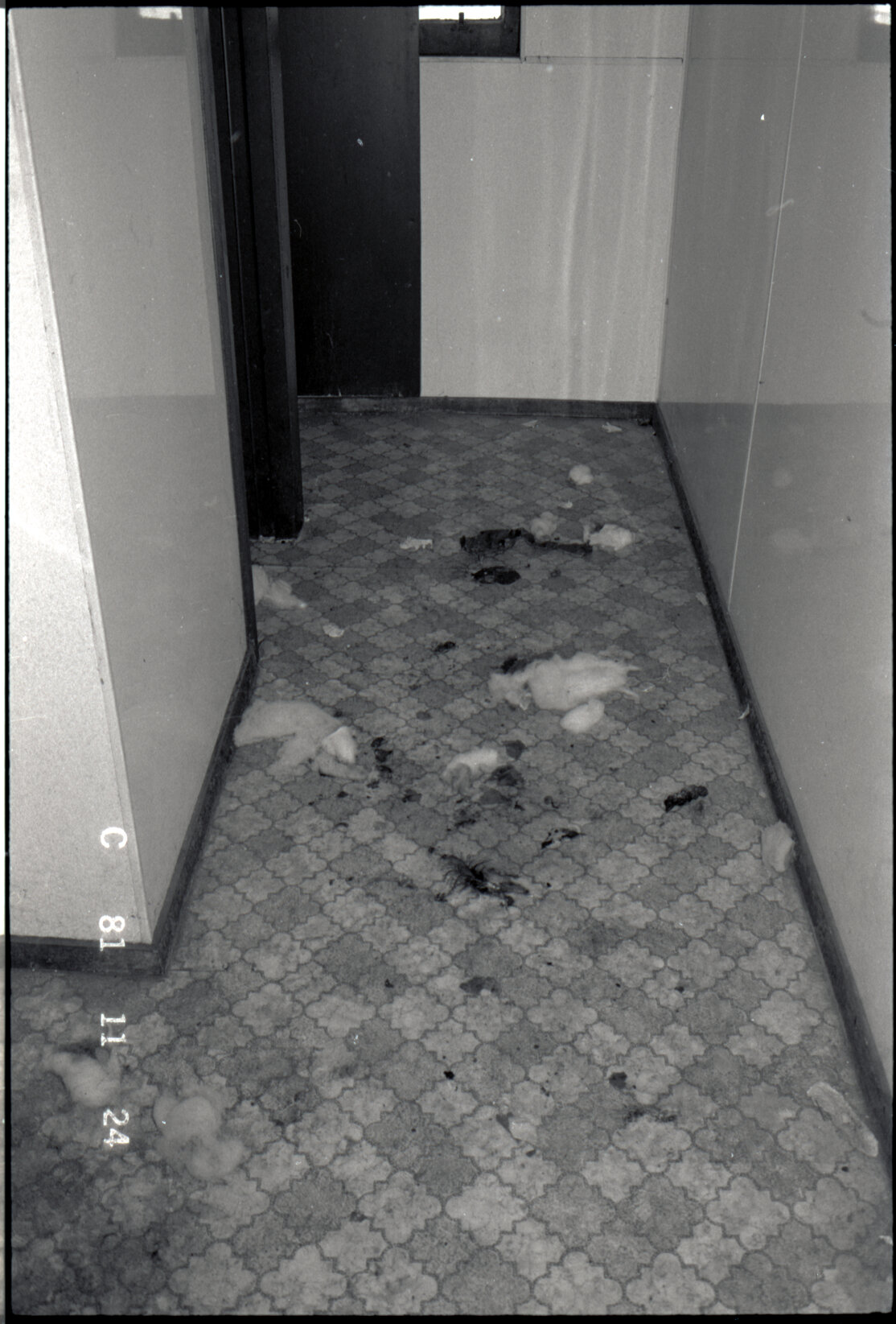 59 Ghuznee Street, Bath House, Private Hotel